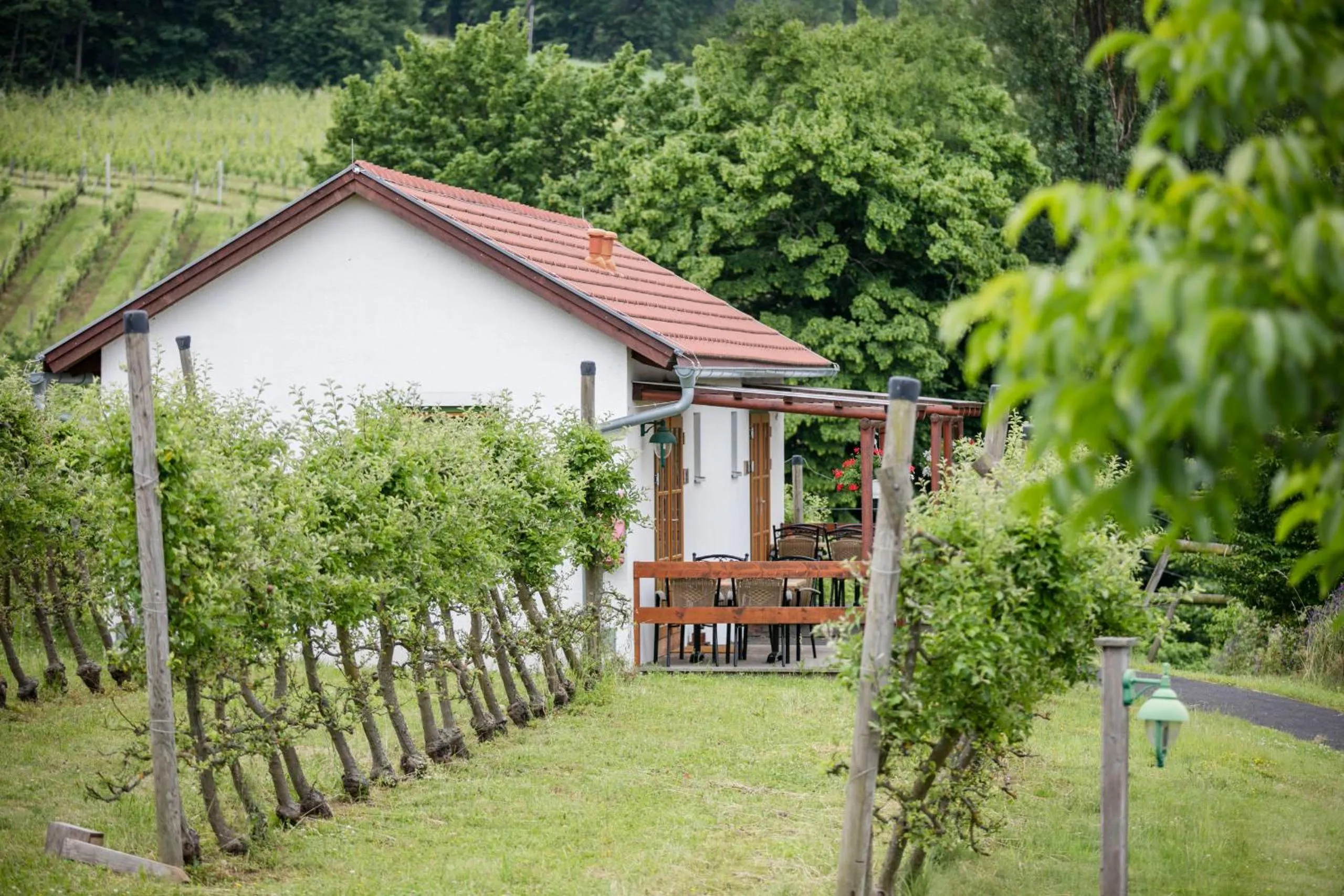 Photo of the whole room in JUFA Hotel Tieschen