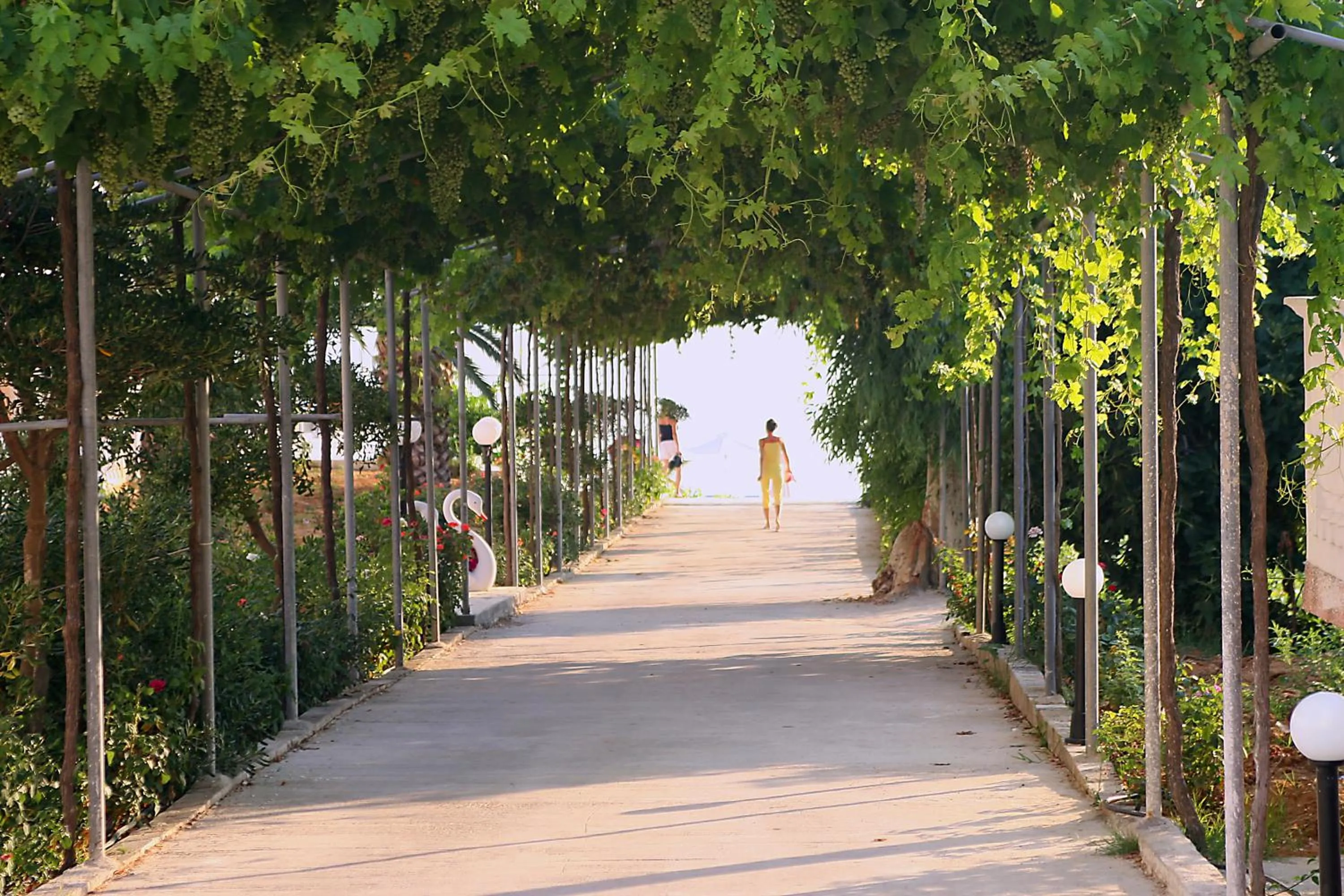Decorative detail in Belussi Beach Hotel & Suites