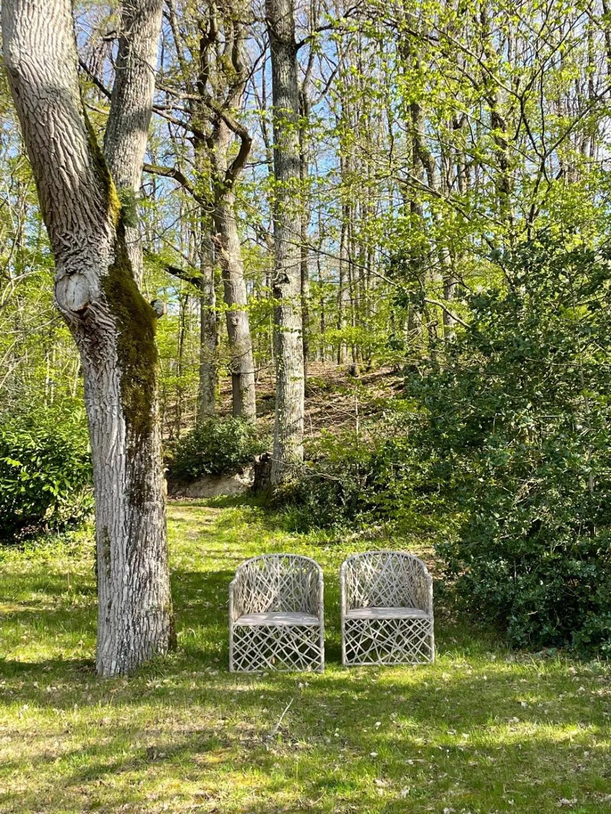 Natural landscape in Château de Nazelles Amboise
