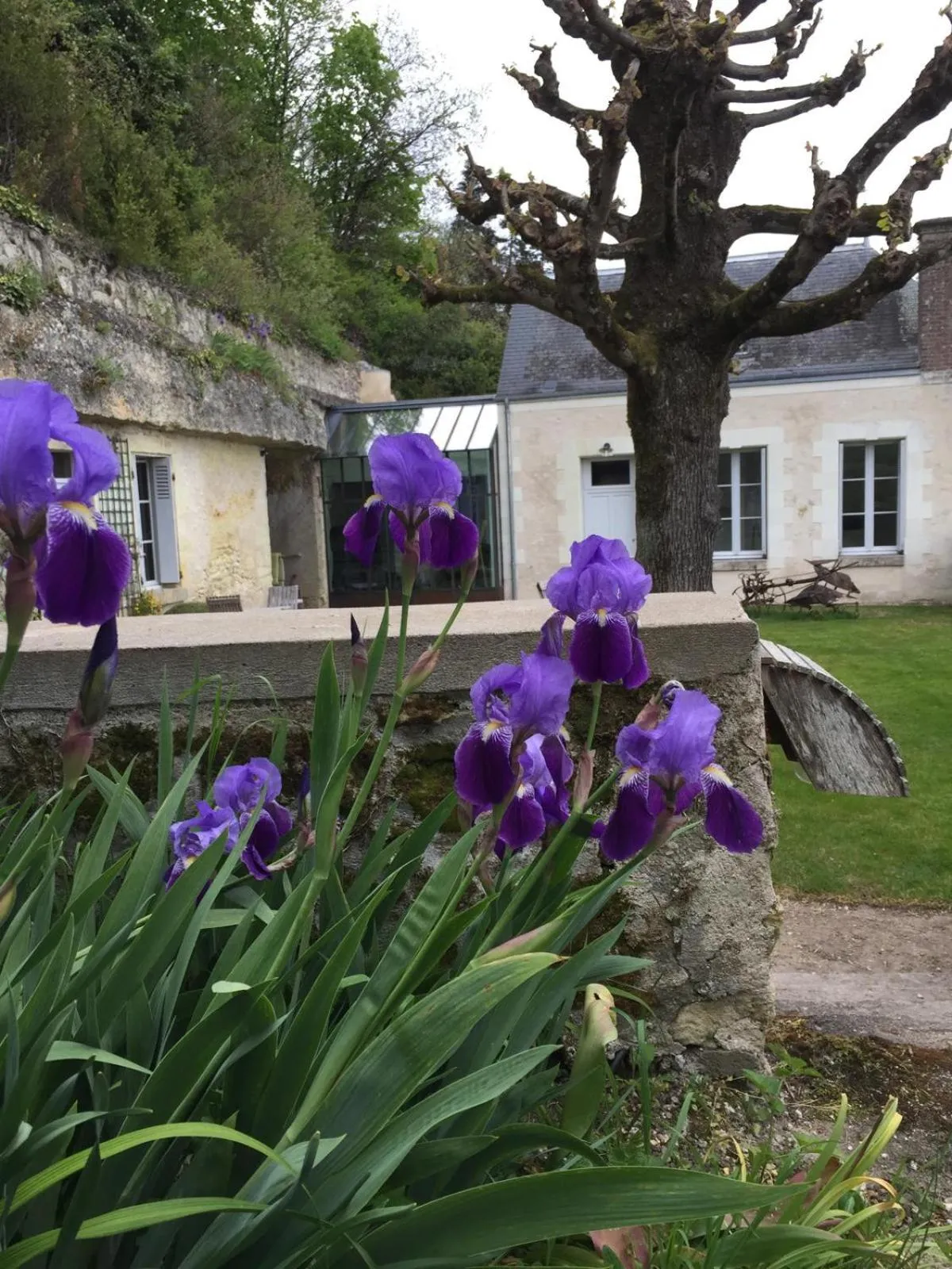 Garden in Château de Nazelles Amboise