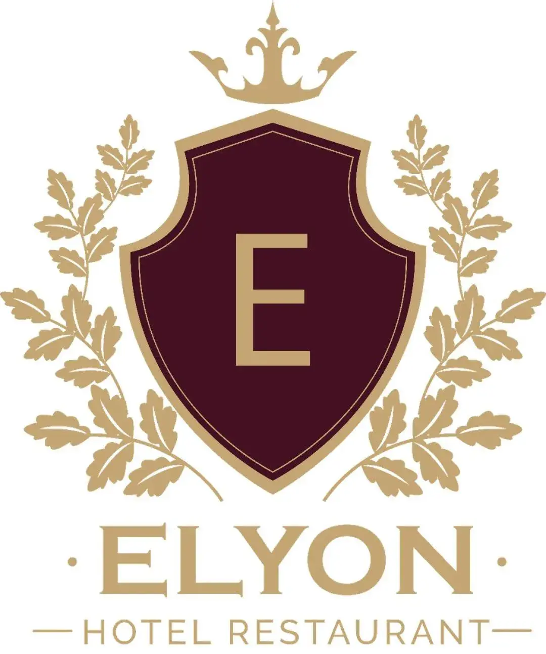 Hotel Elyon Dej Hotel Elyon Dej