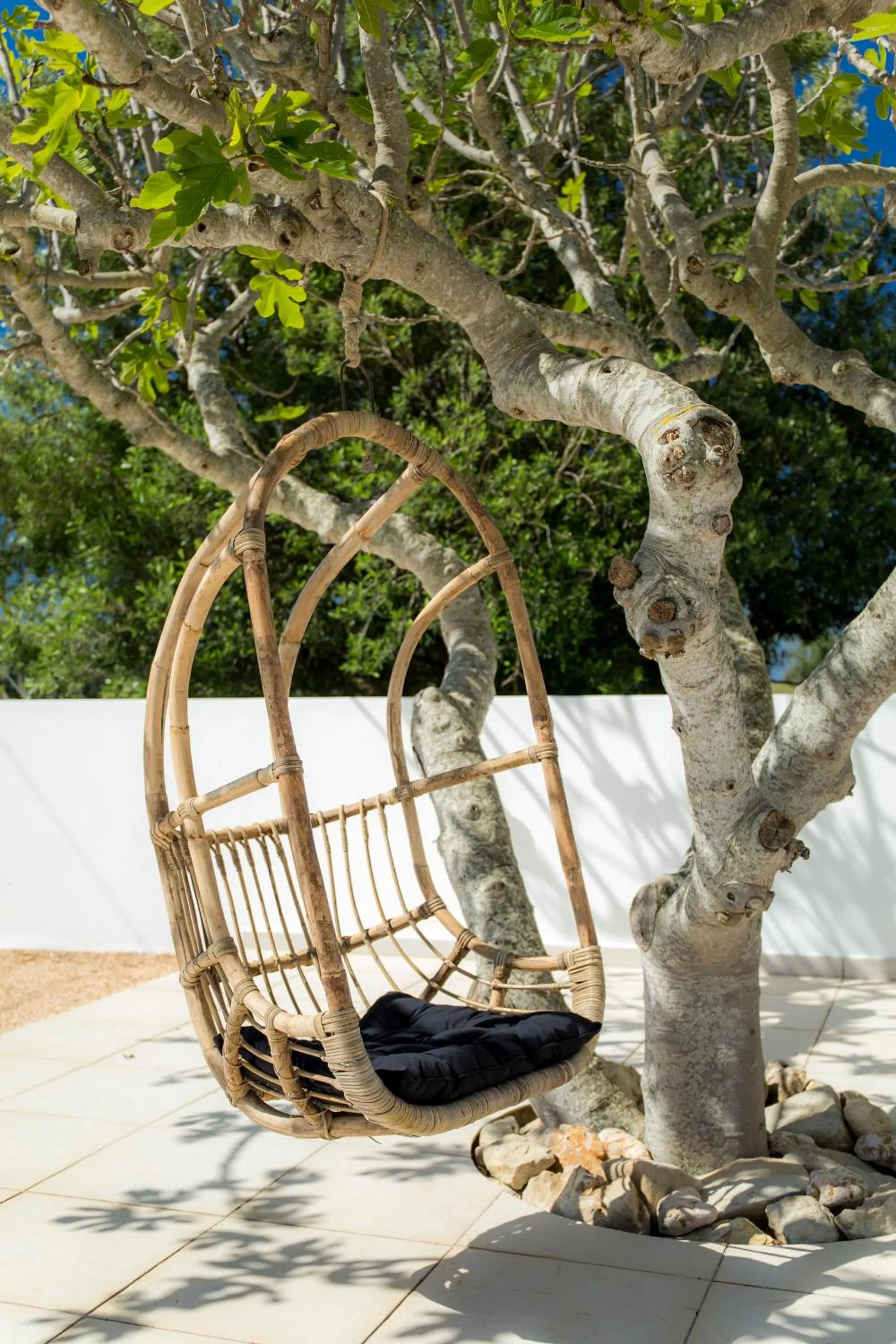 Swimming pool in Casa Luisandra Boutique Hotel B&B