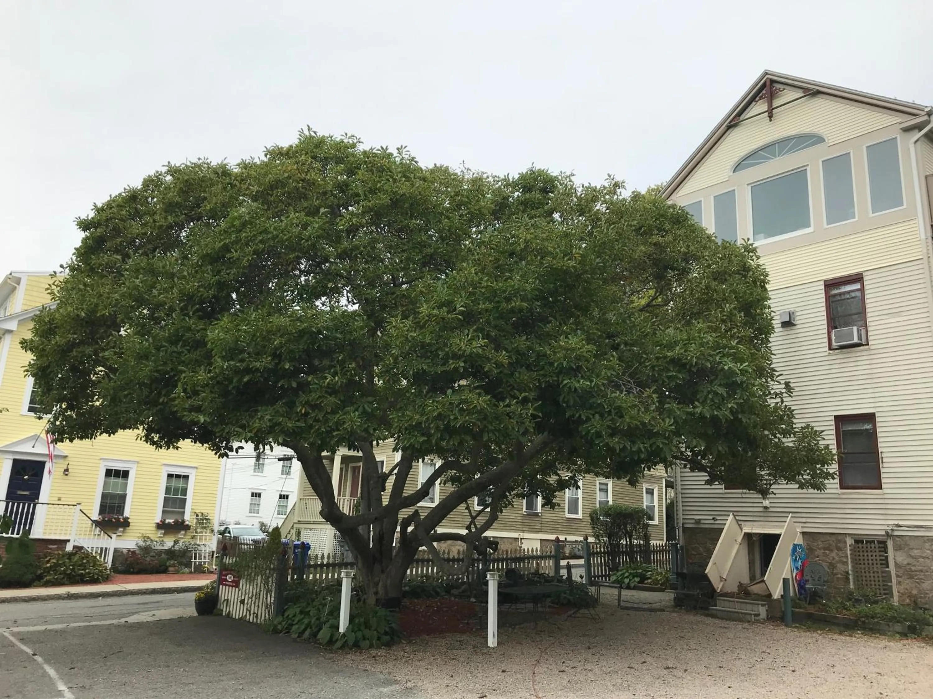 Property building in Artful Lodger