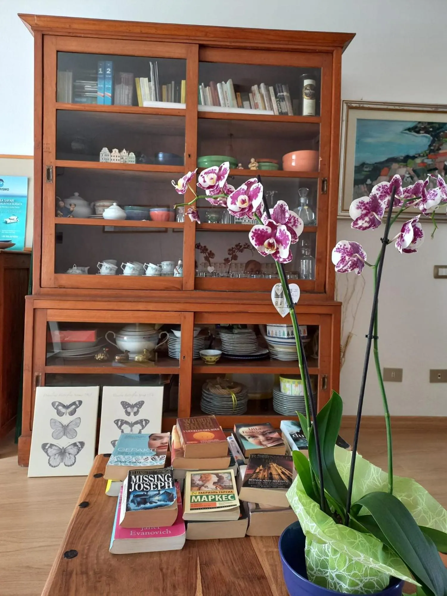 Library in B&B Lloc D'Or