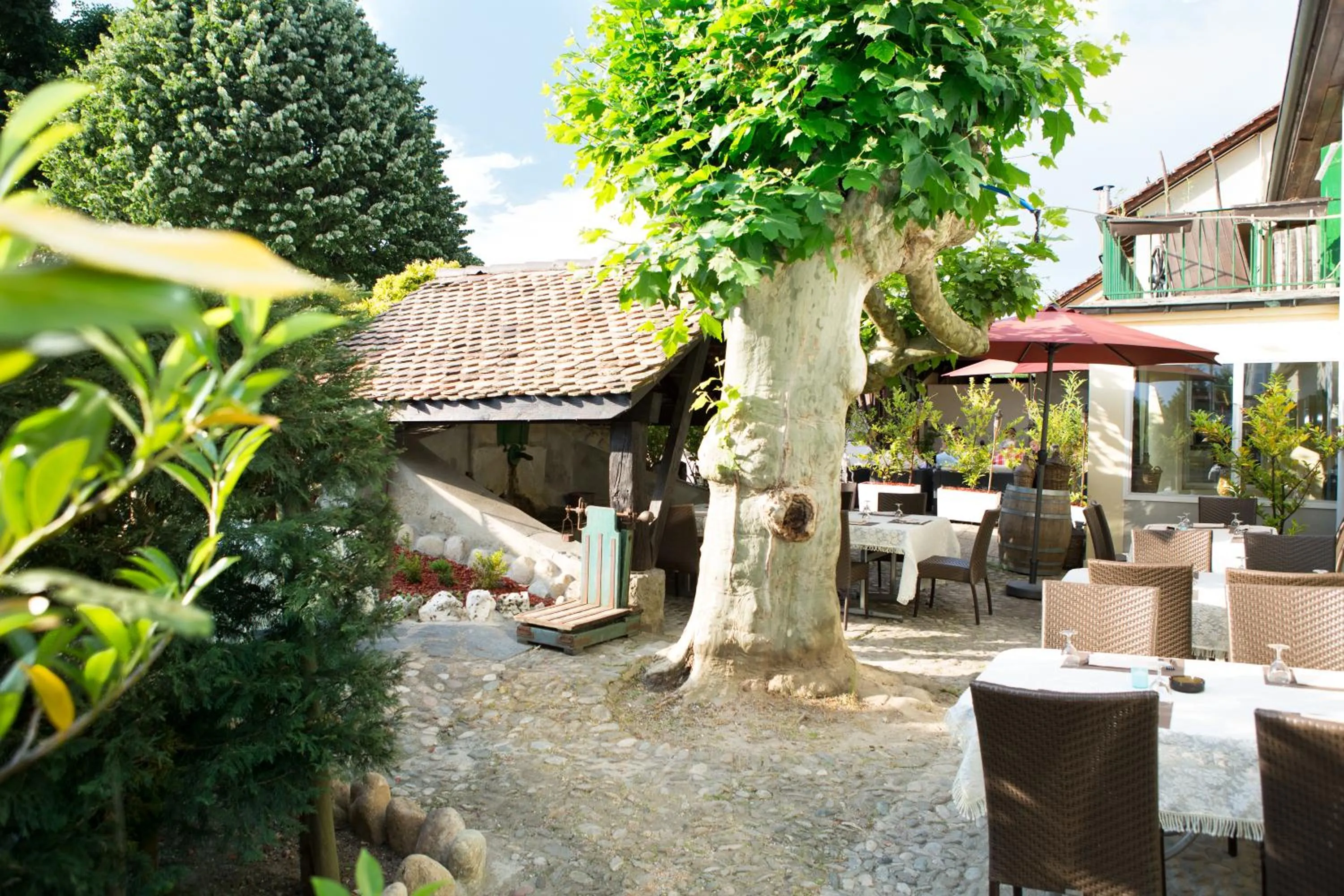Garden view in Auberge des Grands Bois