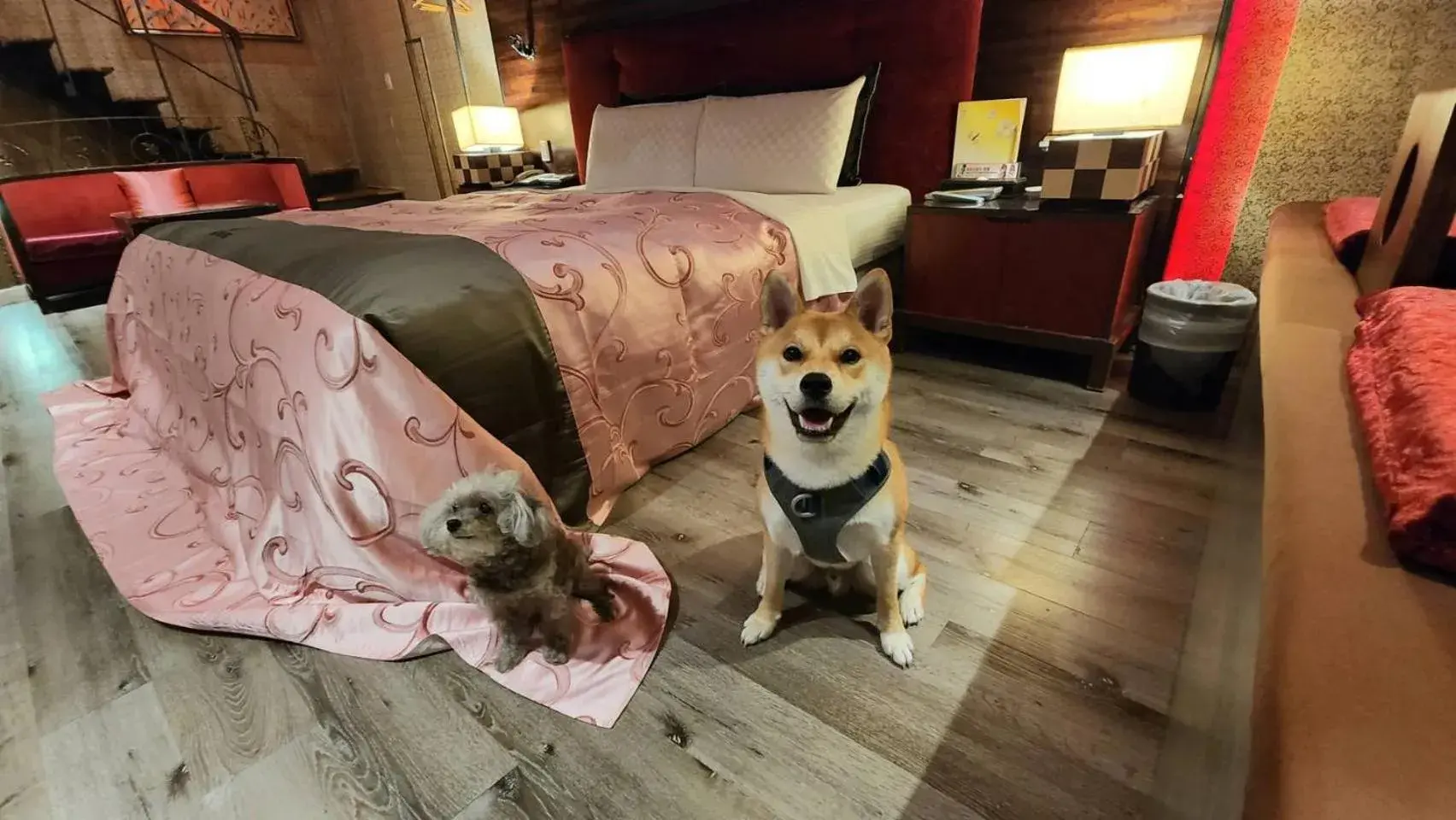 Pets in Fongchih Motel