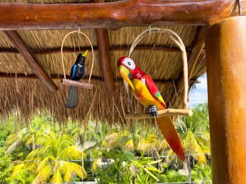 Casa Sonoma - Charming Condos Minutes from Beach & Reef