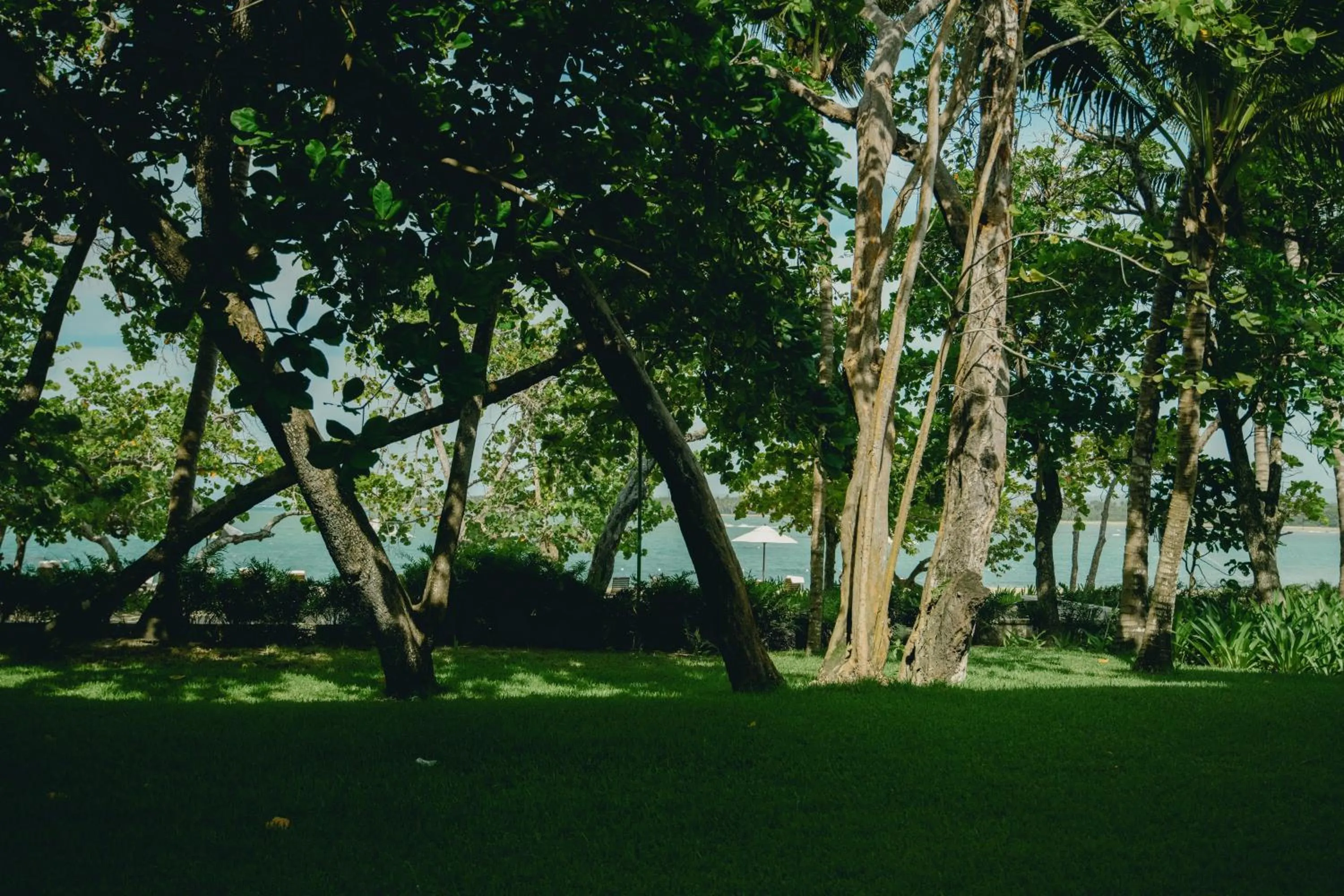 Sea view in Casa Colonial Beach & Spa