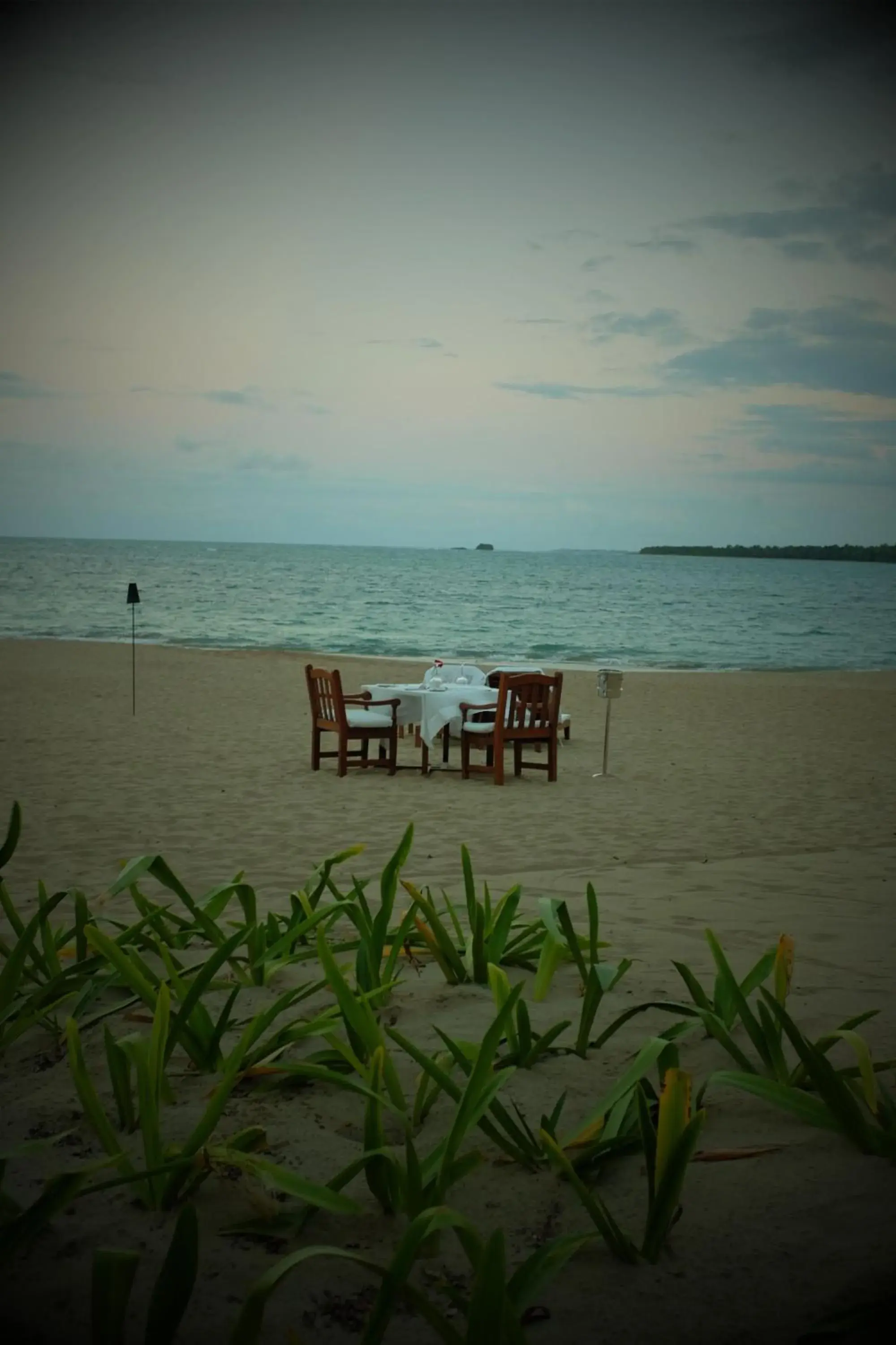 Food in Casa Colonial Beach & Spa Food in Casa Colonial Beach & Spa