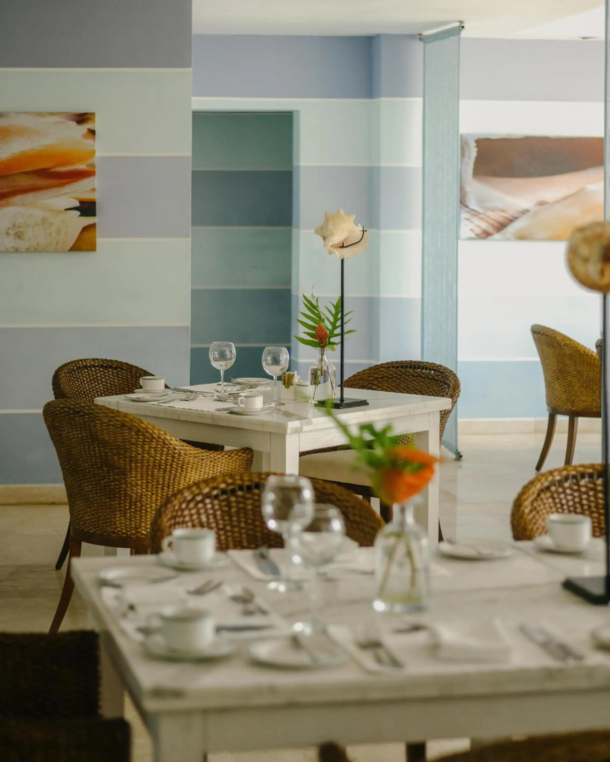 Restaurant/places to eat in Casa Colonial Beach & Spa Restaurant/places to eat in Casa Colonial Beach & Spa