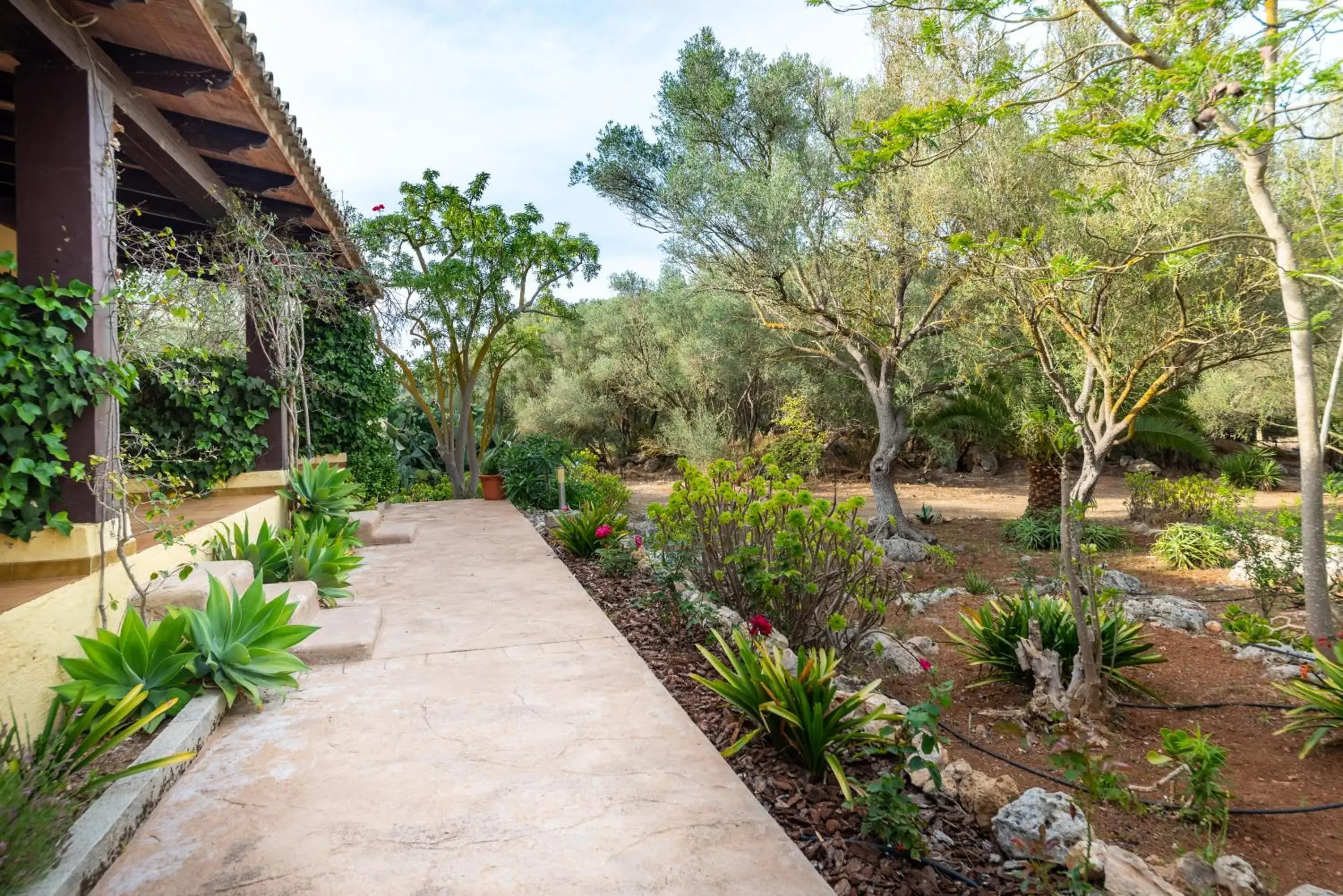 Facade/entrance in Finca Hotel Rural Predio Son Serra Facade/entrance in Finca Hotel Rural Predio Son Serra