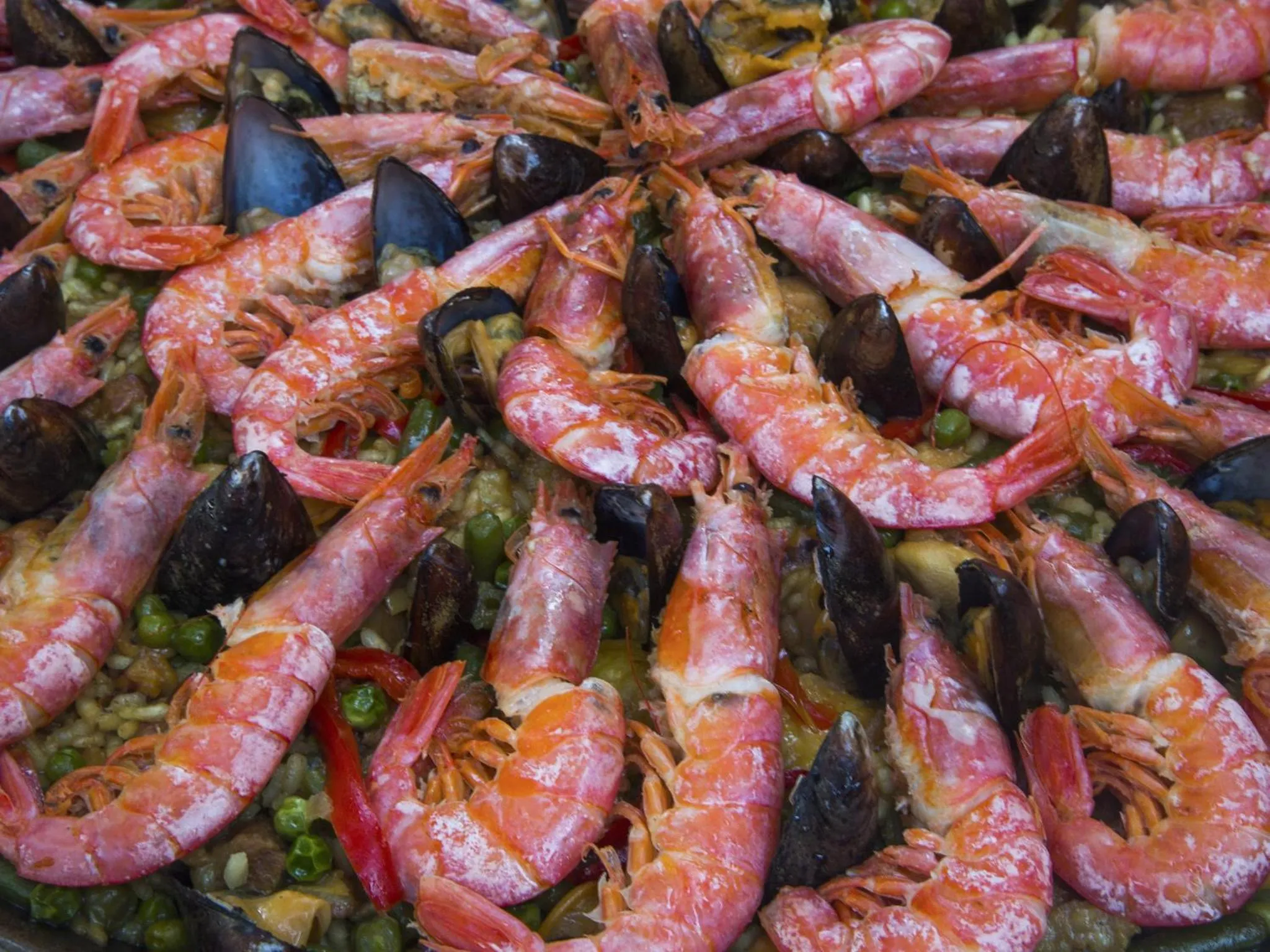 Food close-up in Finca Hotel Rural Predio Son Serra