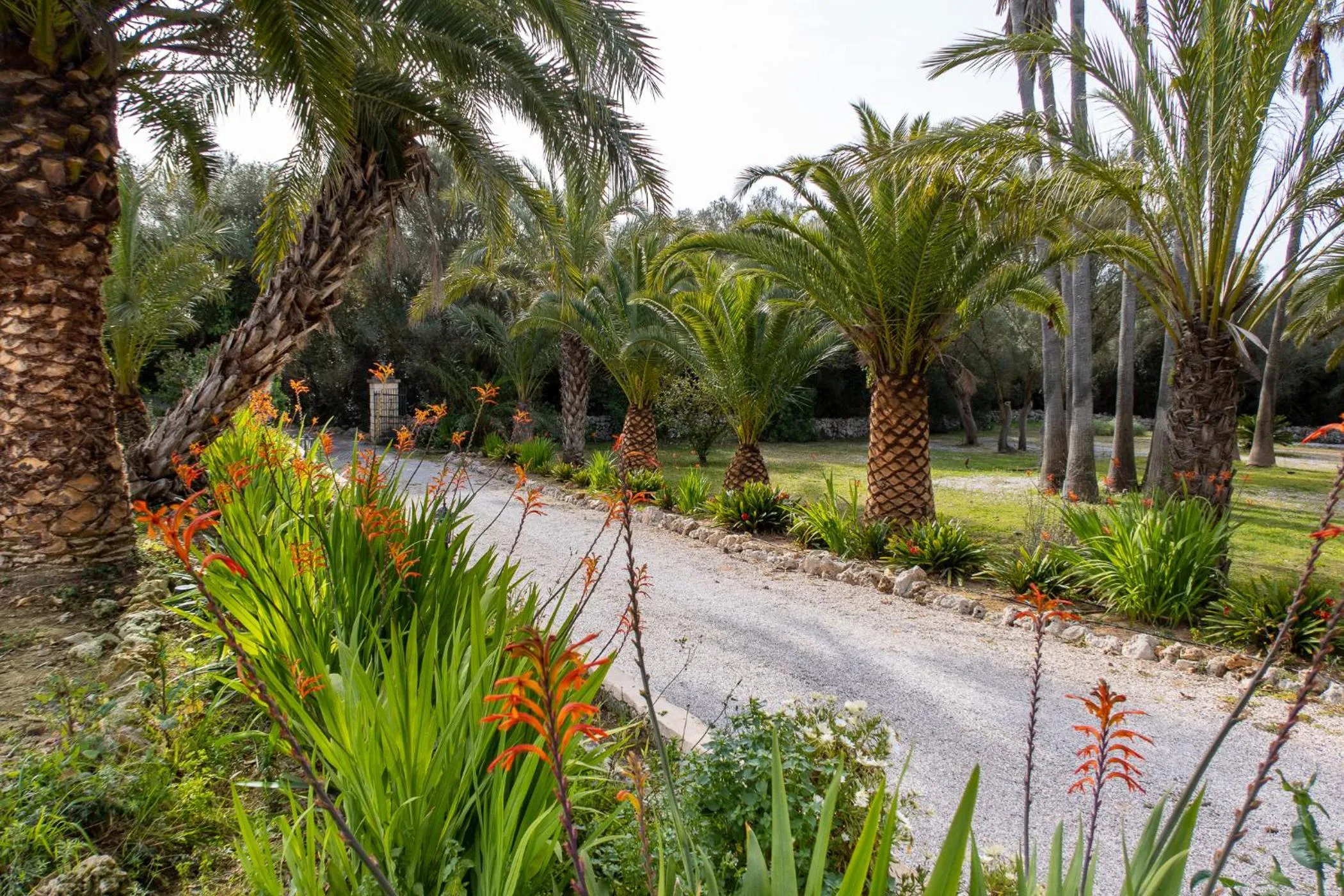 Lobby or reception in Finca Hotel Rural Predio Son Serra