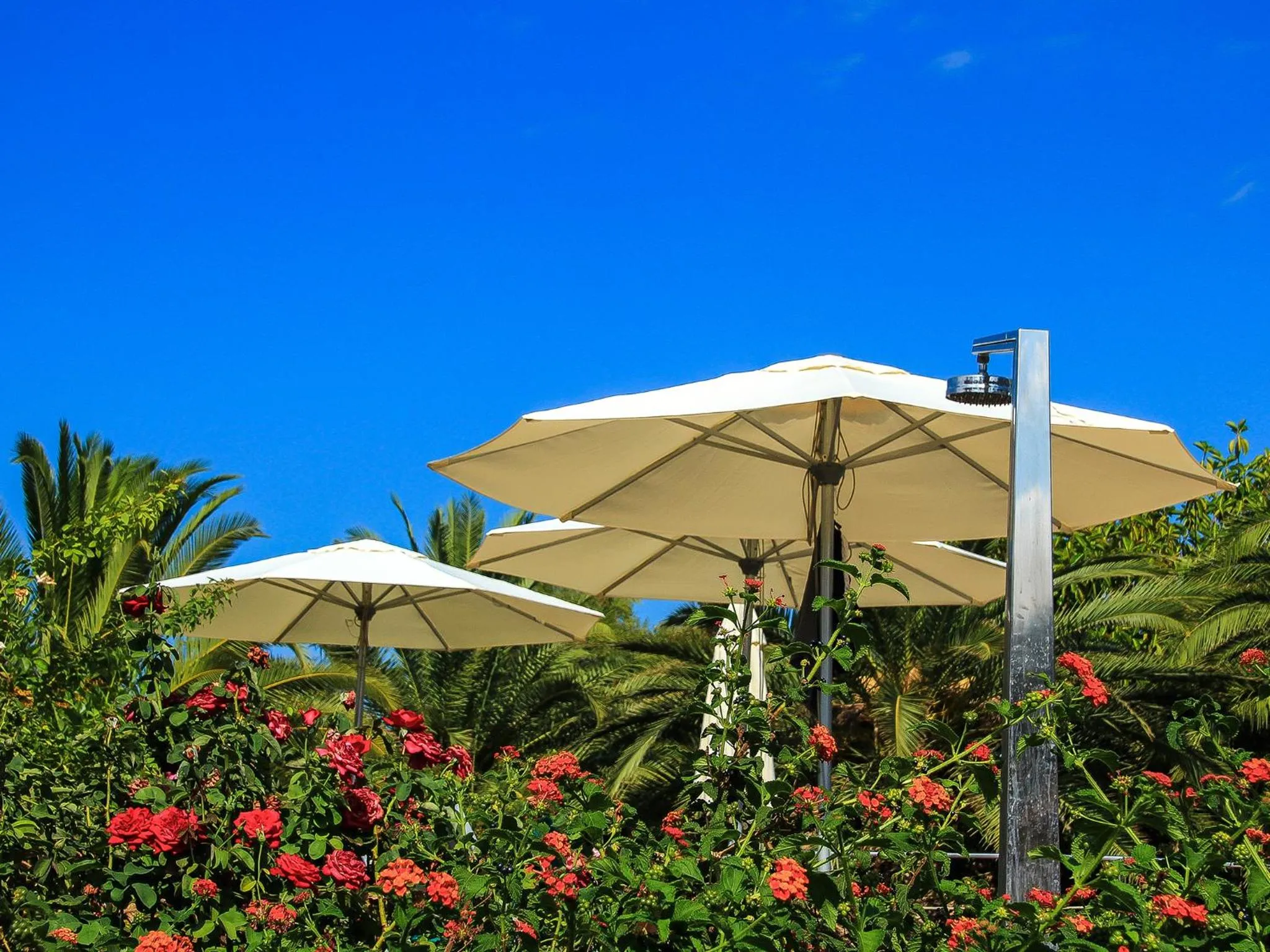 Garden in Finca Hotel Rural Predio Son Serra