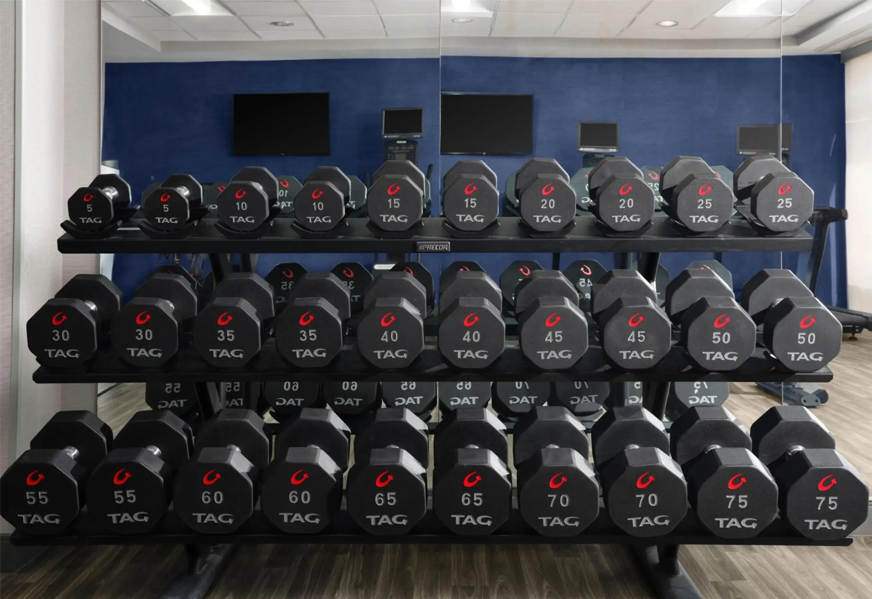 Fitness centre/facilities in Hampton Inn Meridian Fitness centre/facilities in Hampton Inn Meridian