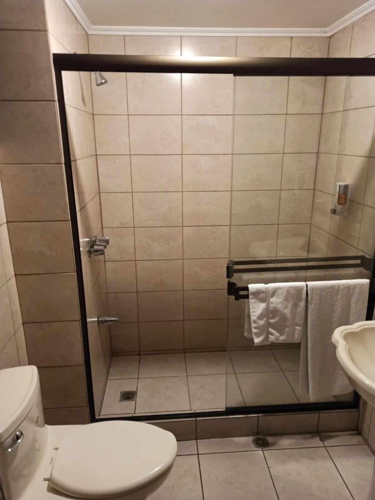 Shower in Hotel Plaza Real Suites & Apartments San Jose