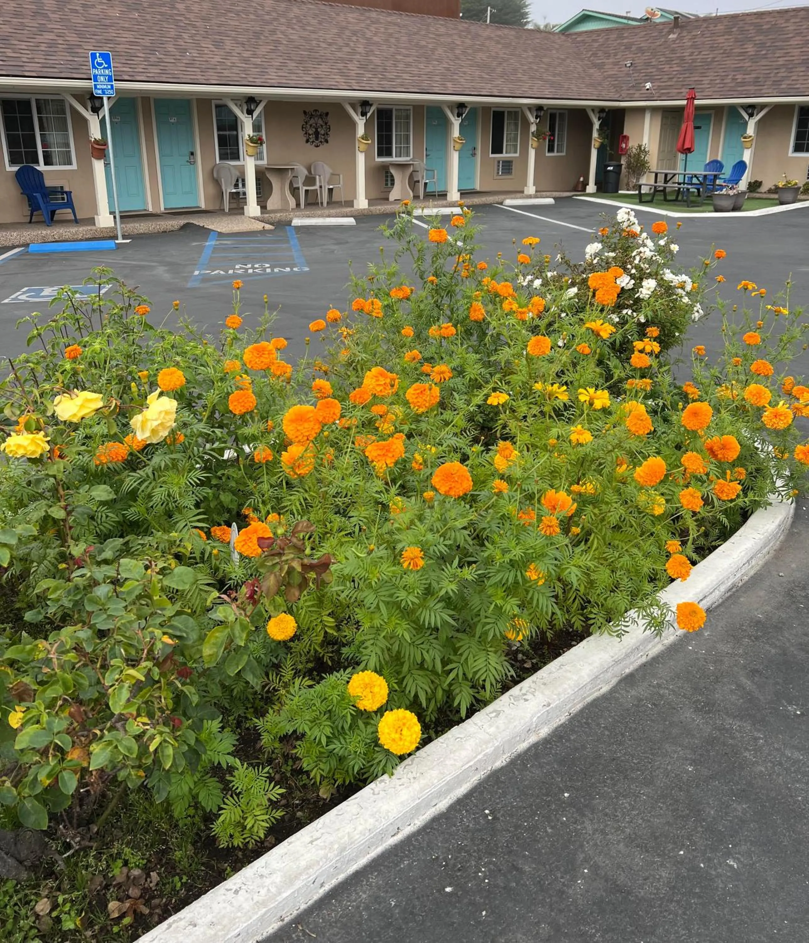 Parking in Central Coast Inn Cayucos