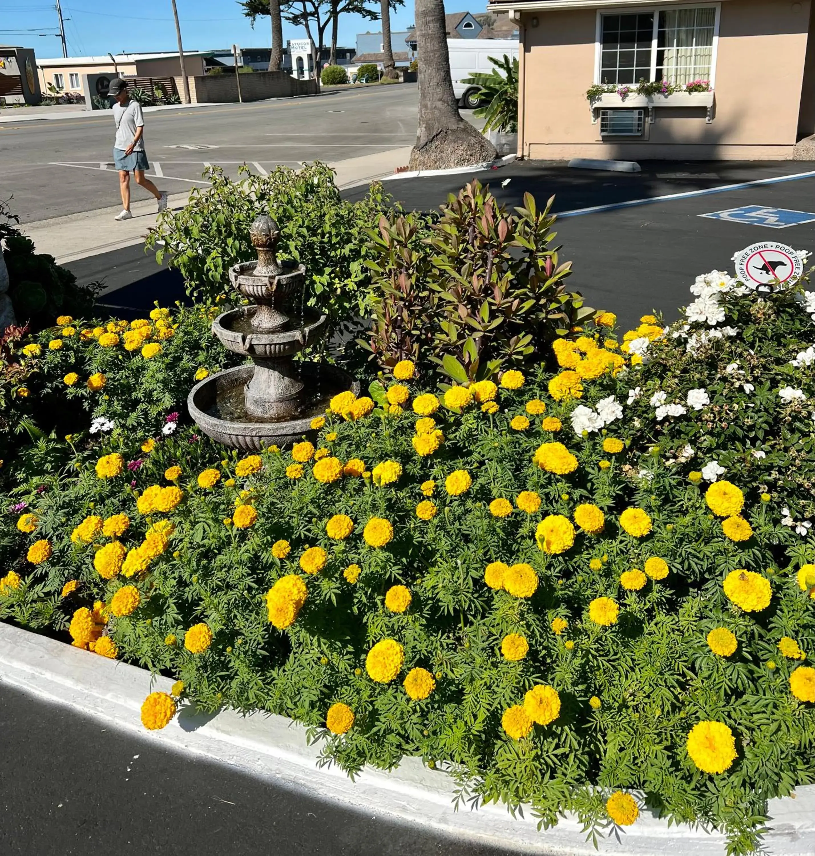 Property building in Central Coast Inn Cayucos Property building in Central Coast Inn Cayucos