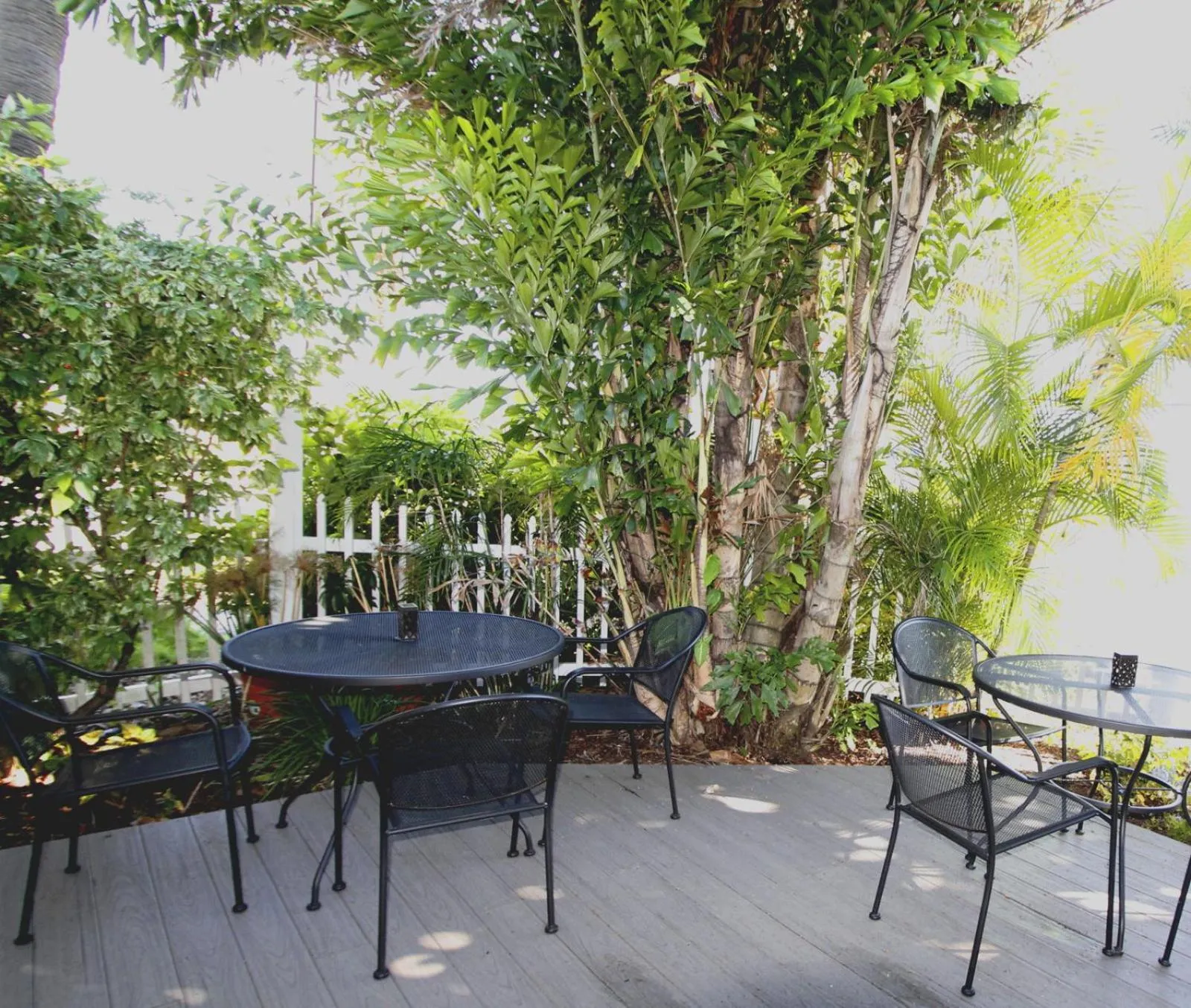 Balcony/Terrace in Island Breeze Inn - Venice