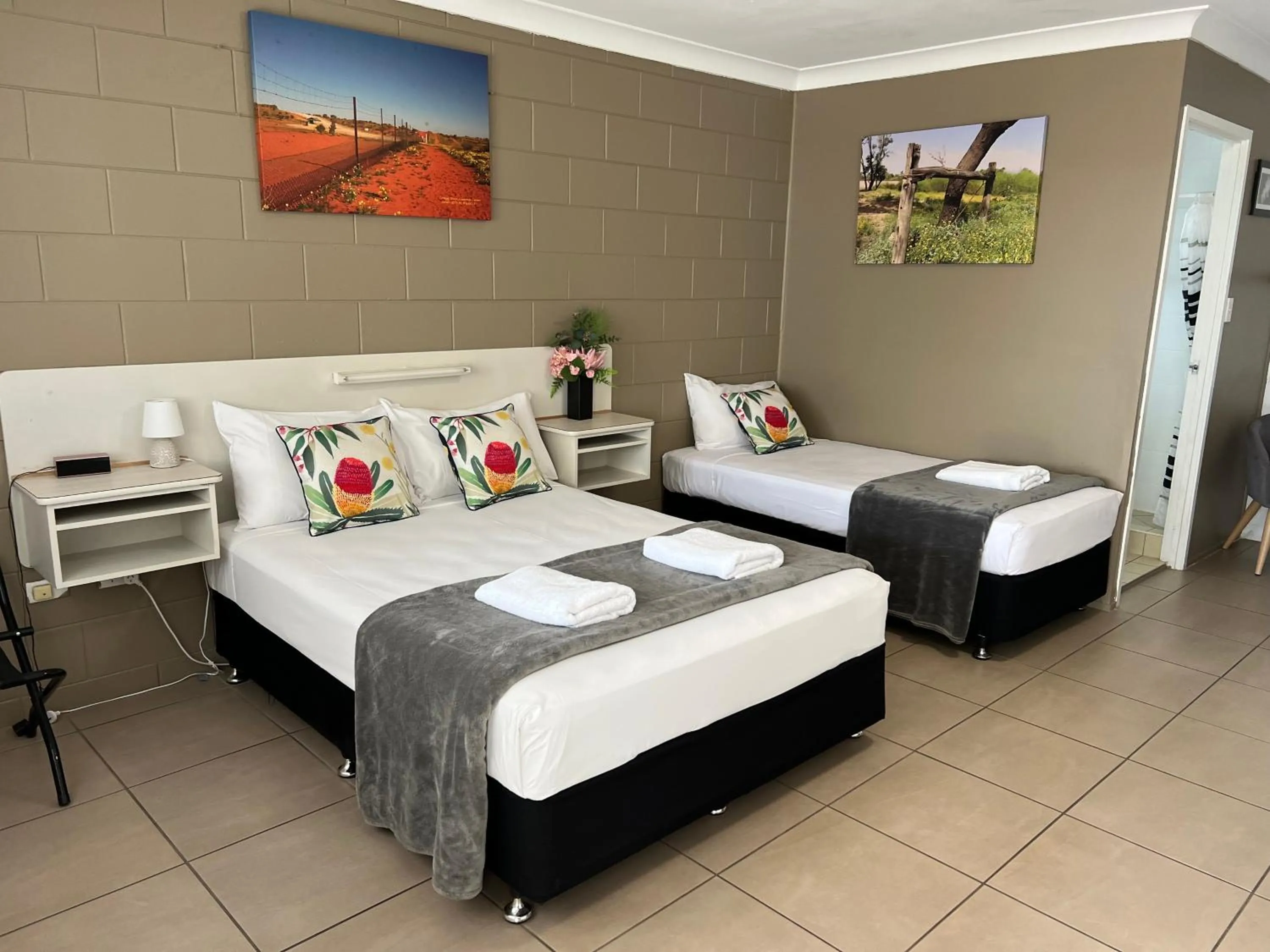 BBQ facilities, Bed in Spanish Lace Motor Inn