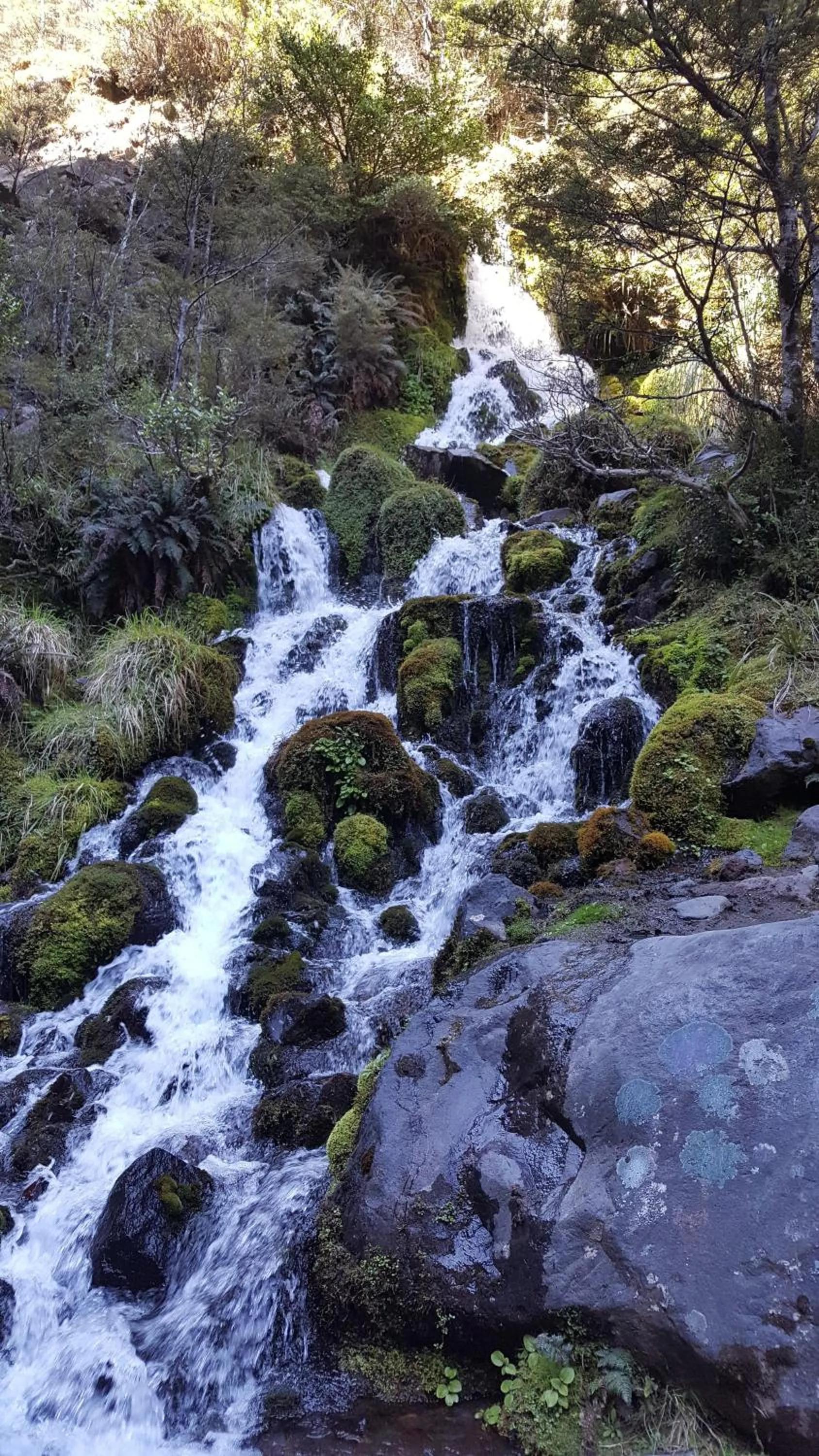 Ruapehu Mountain Motel & Lodge