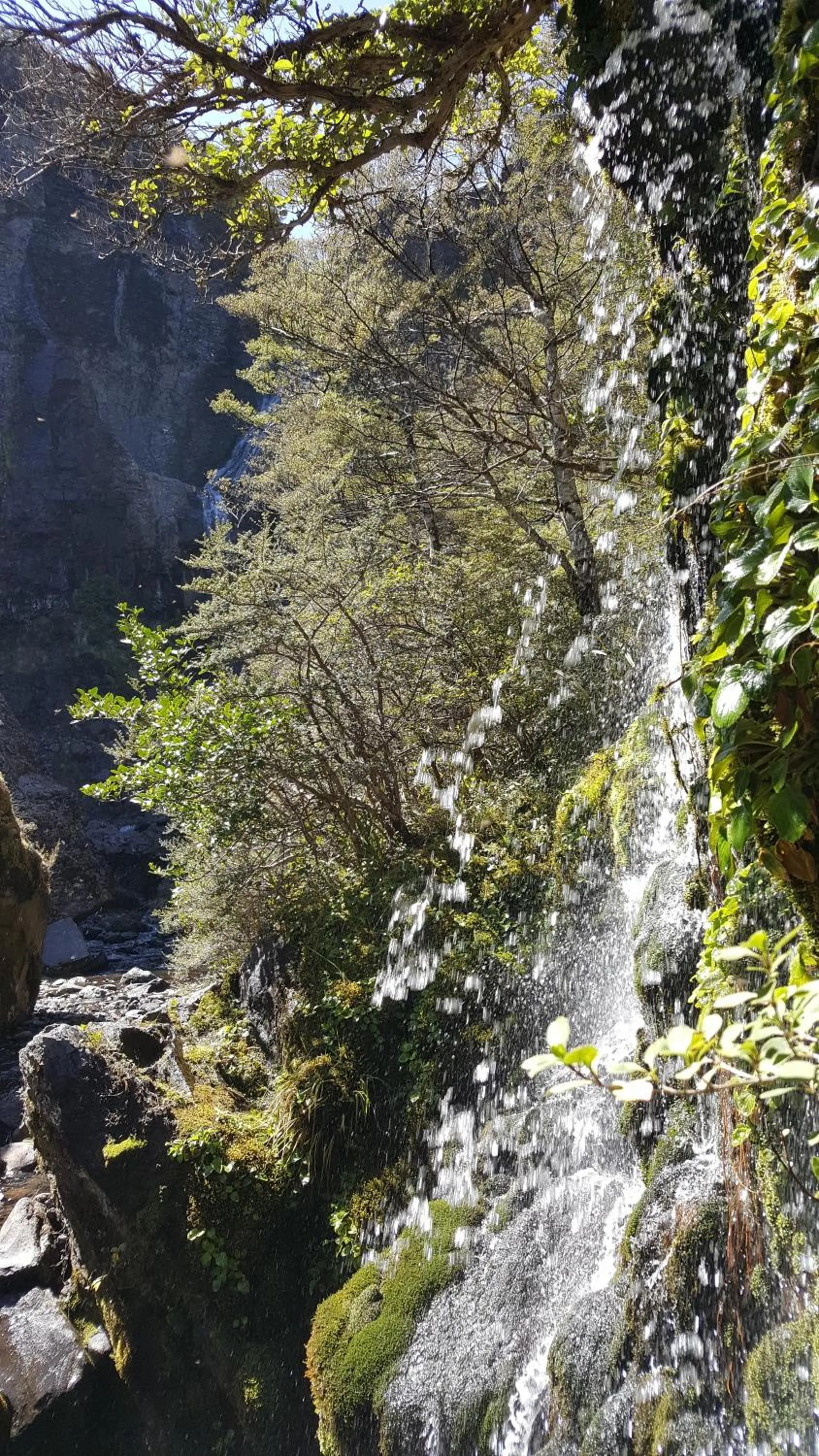 Ruapehu Mountain Motel & Lodge