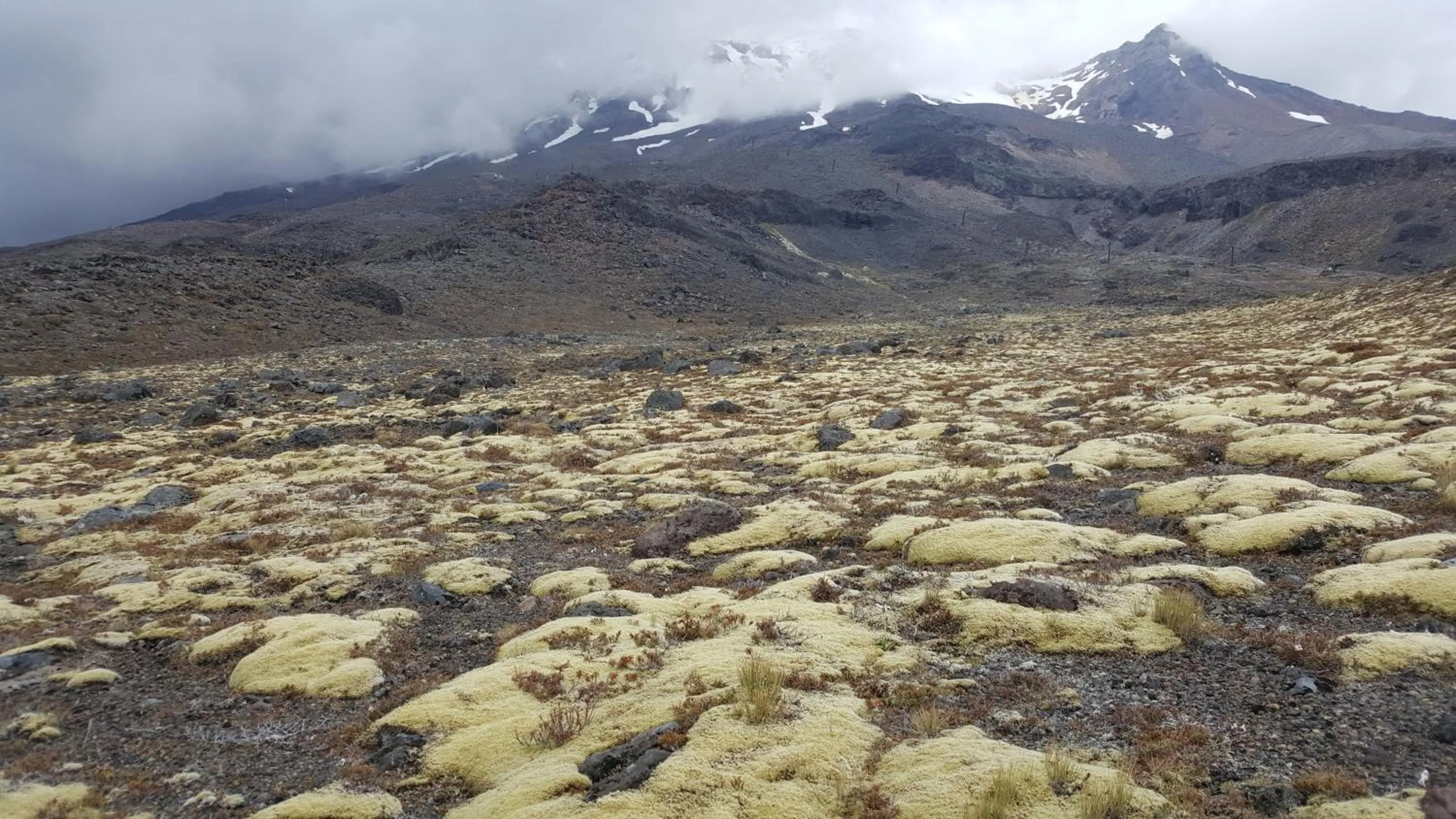 Ruapehu Mountain Motel & Lodge