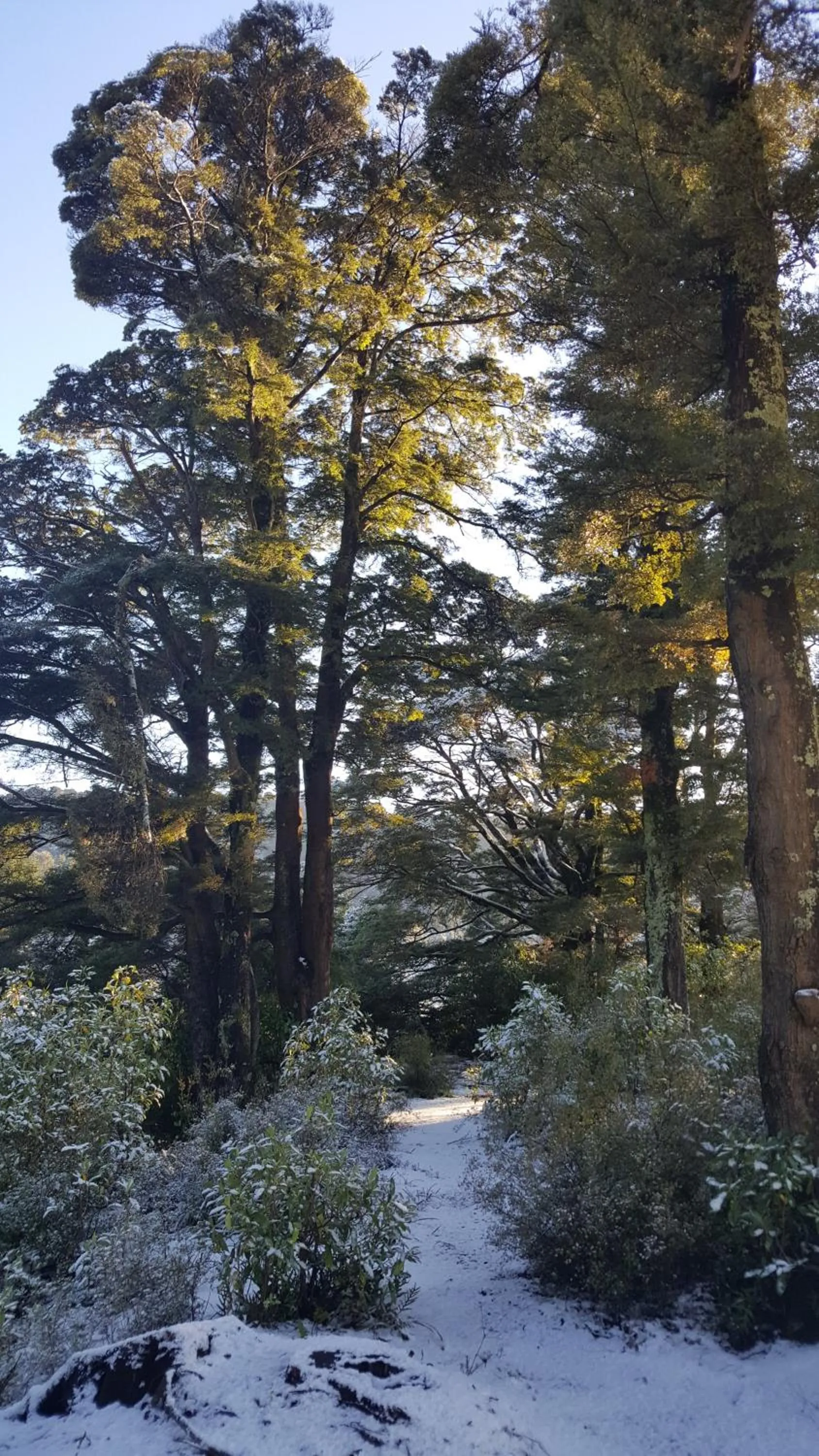 Ruapehu Mountain Motel & Lodge