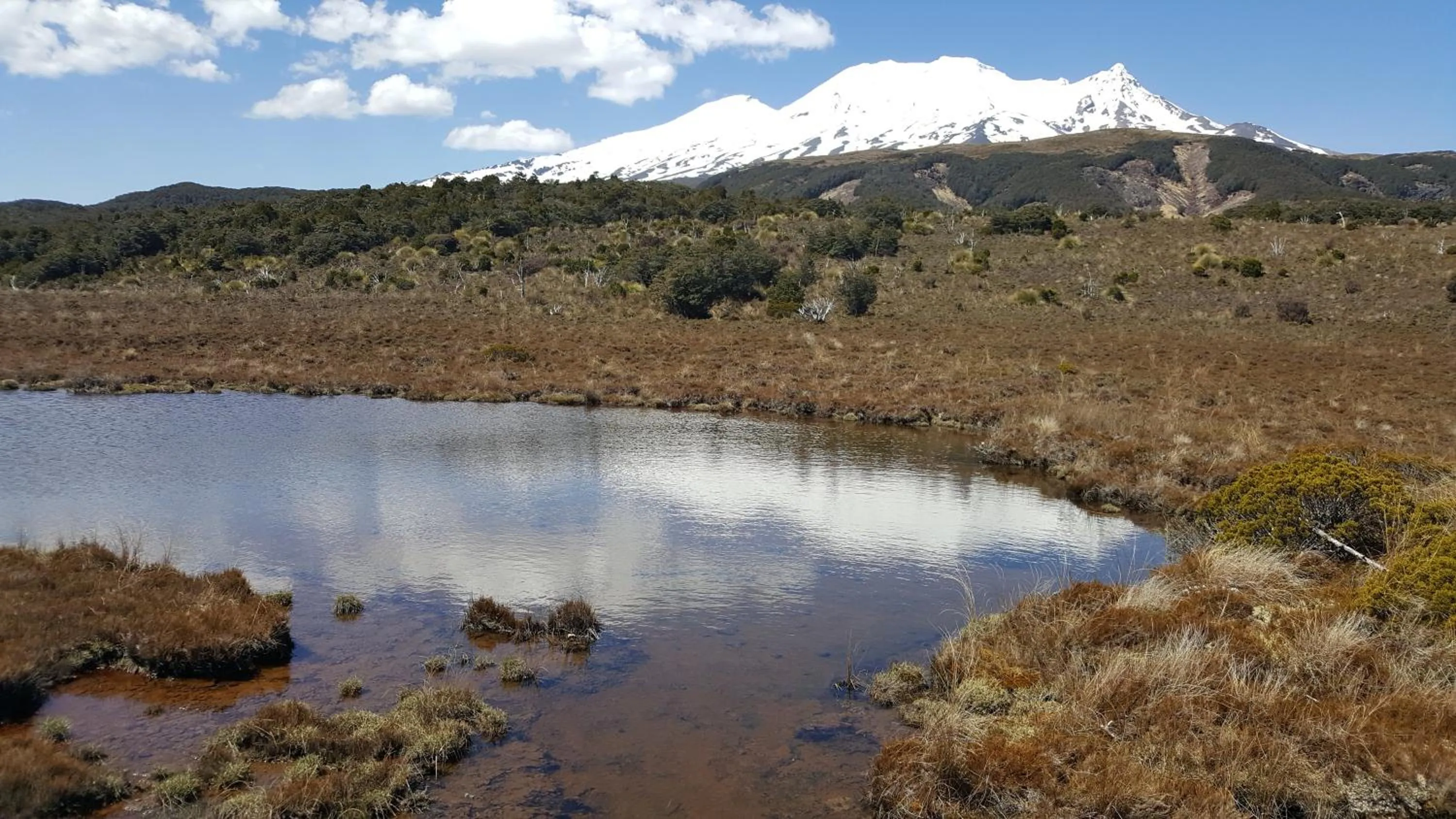 Ruapehu Mountain Motel & Lodge