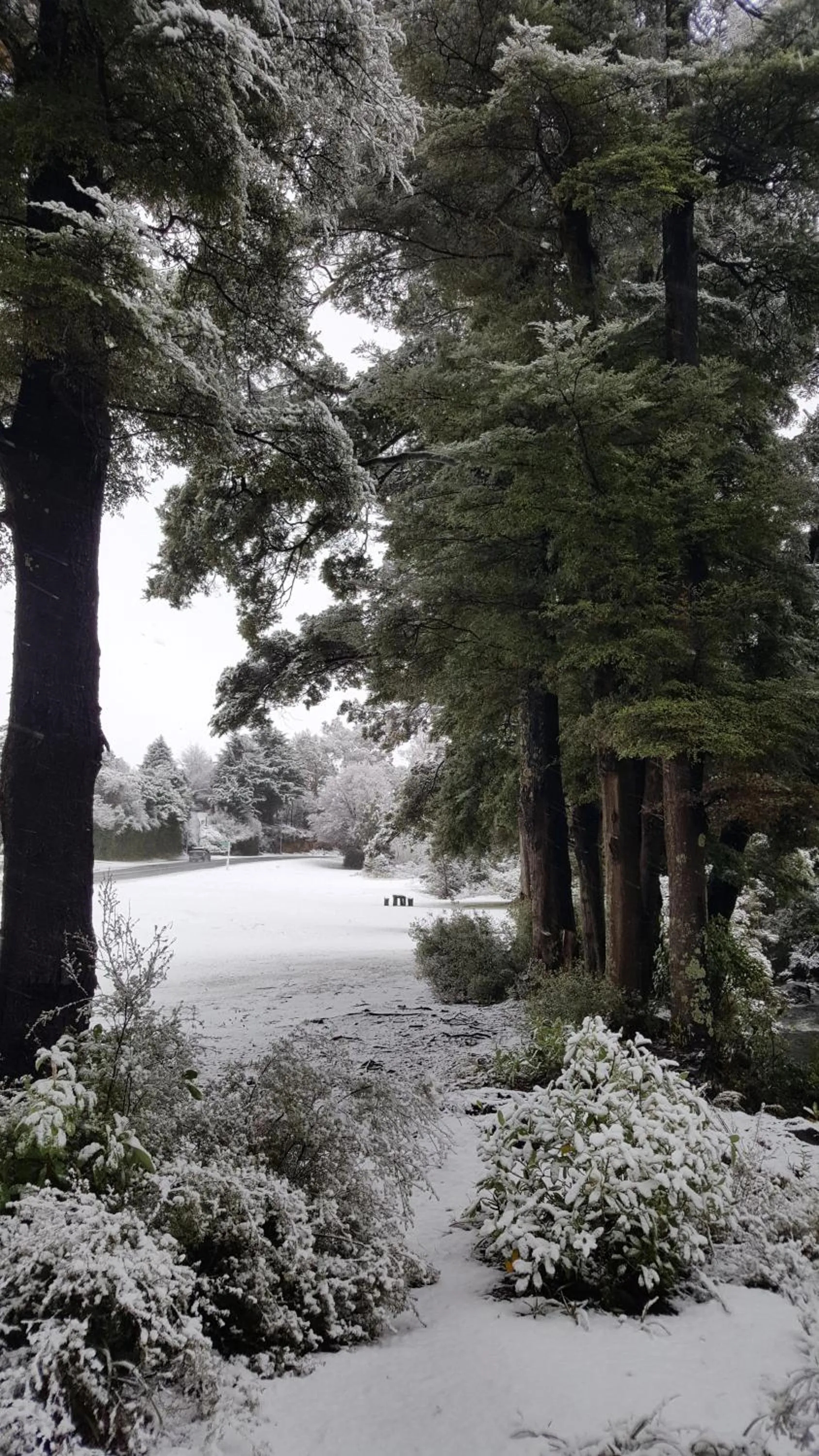 Ruapehu Mountain Motel & Lodge