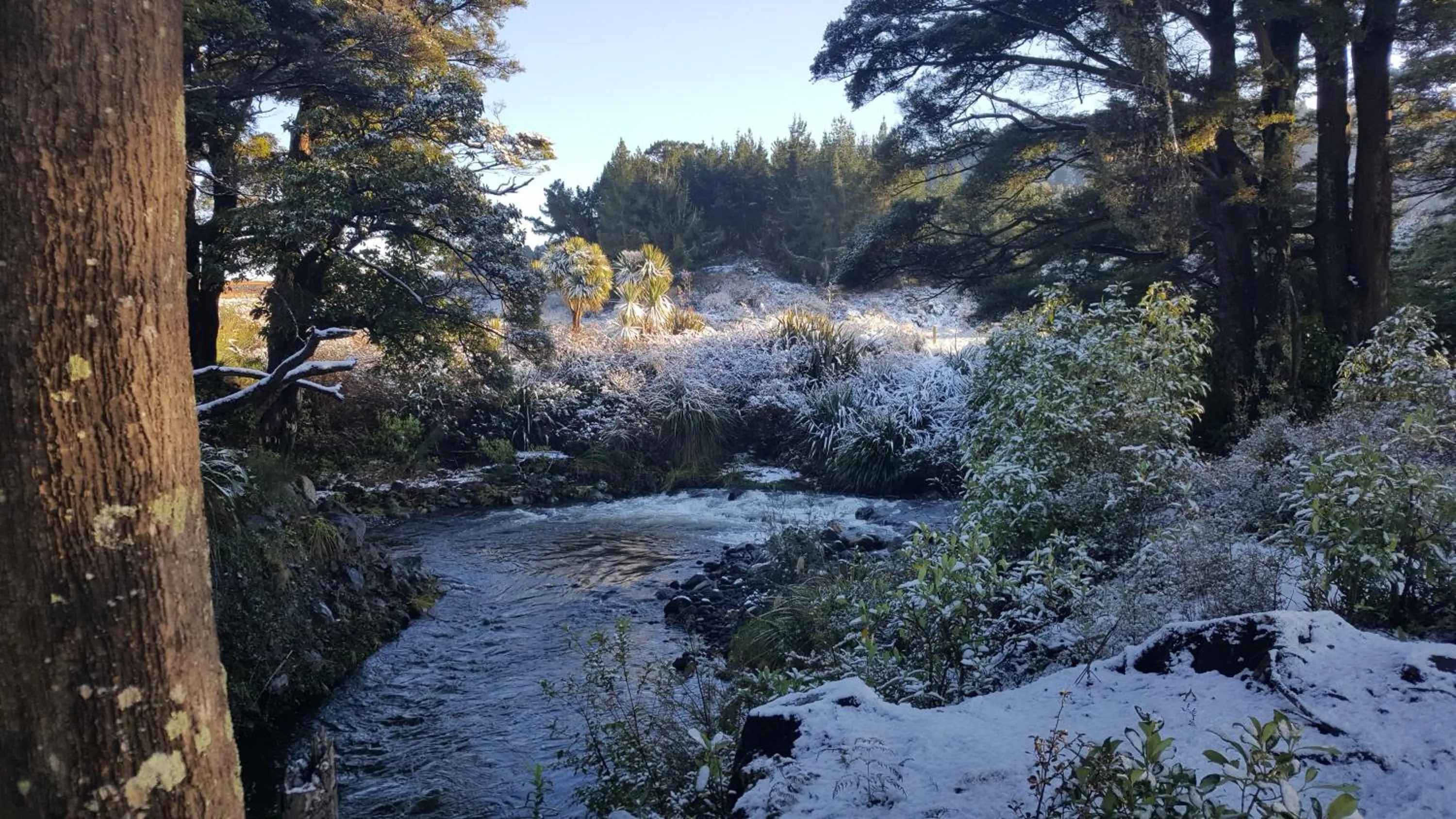 Ruapehu Mountain Motel & Lodge