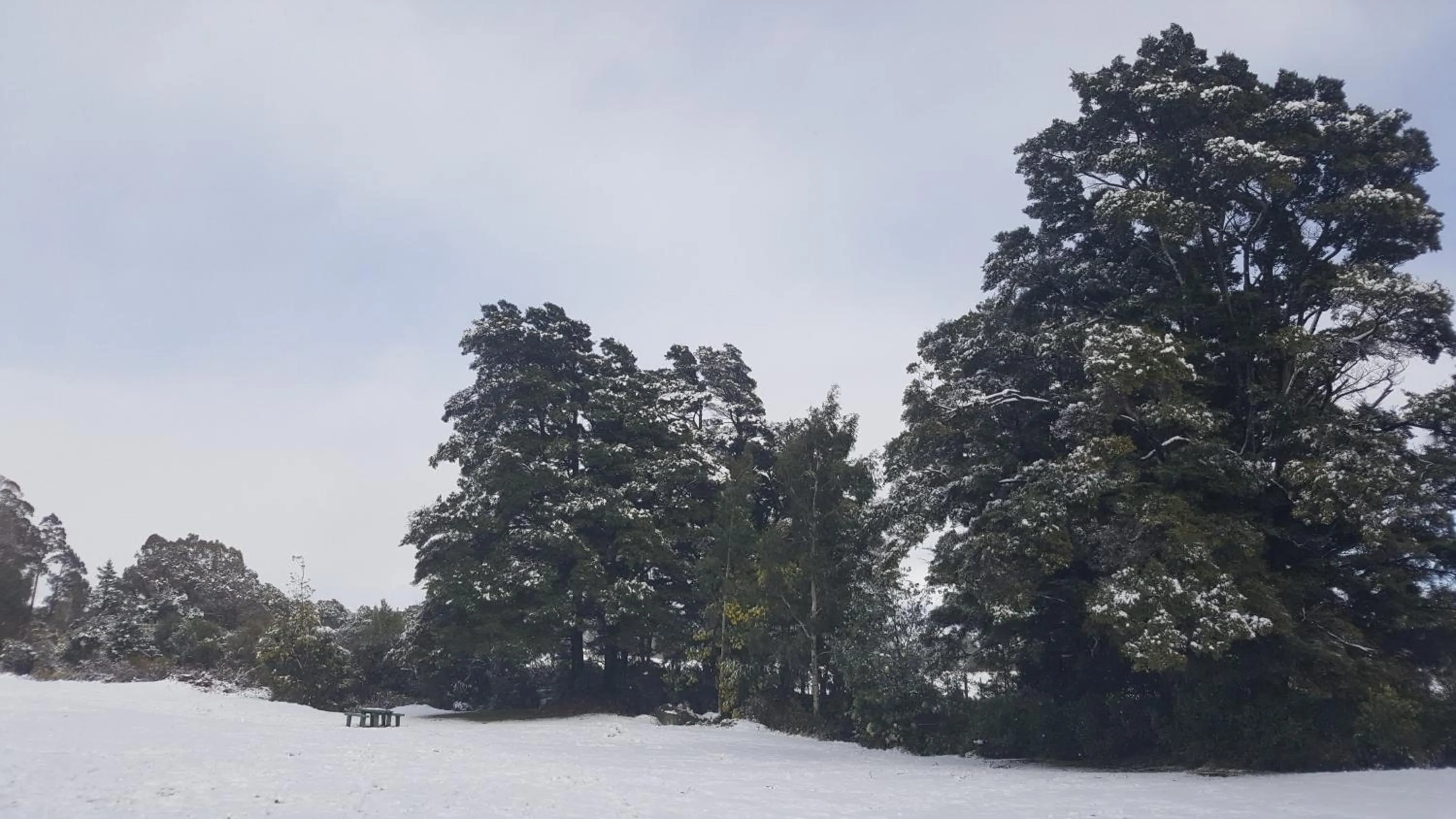 Ruapehu Mountain Motel & Lodge