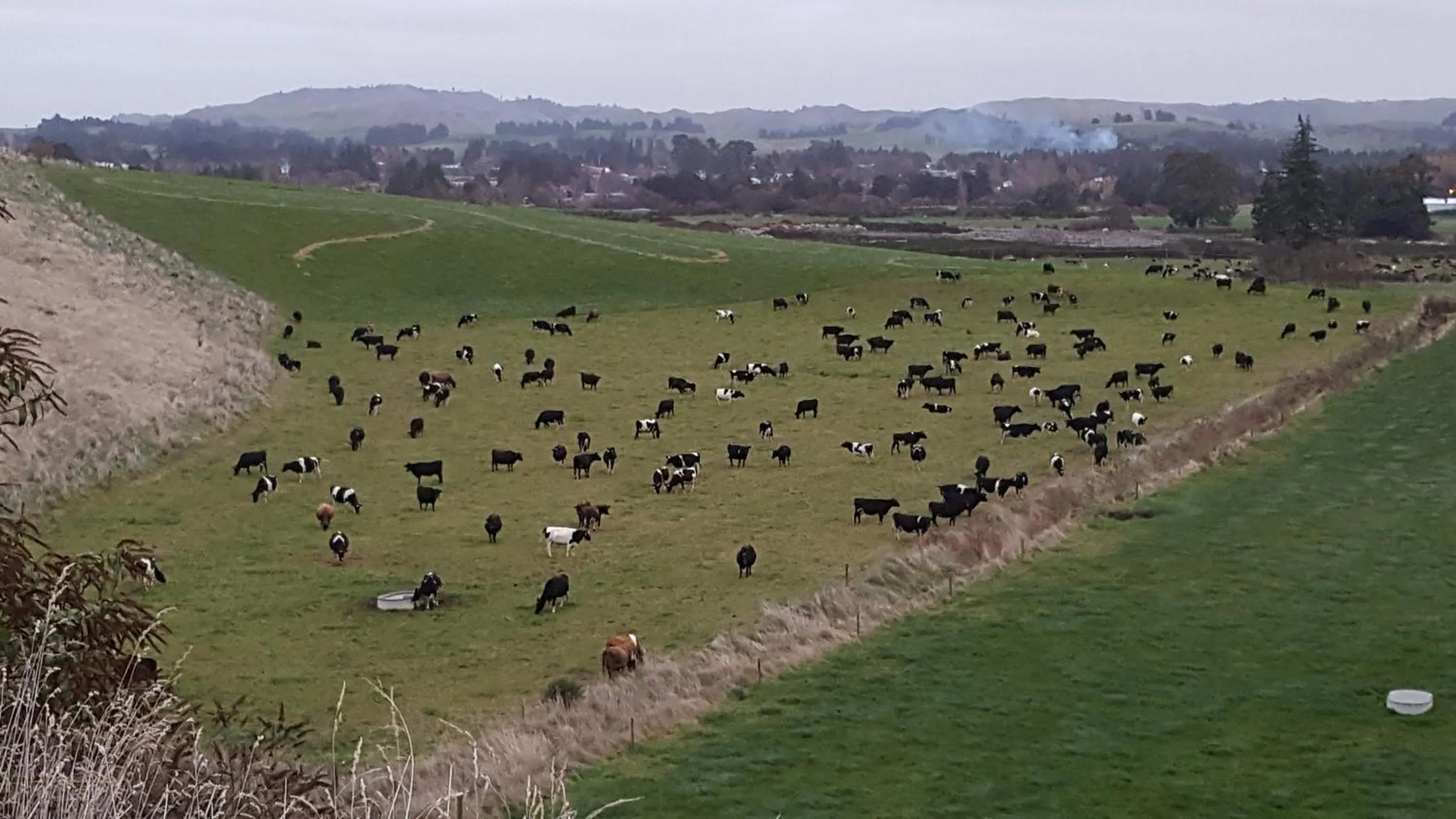 Ruapehu Mountain Motel & Lodge