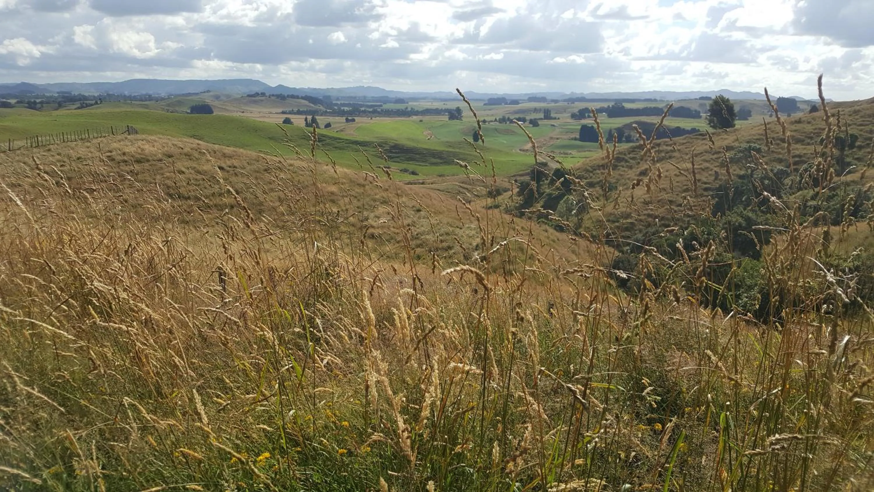 Ruapehu Mountain Motel & Lodge
