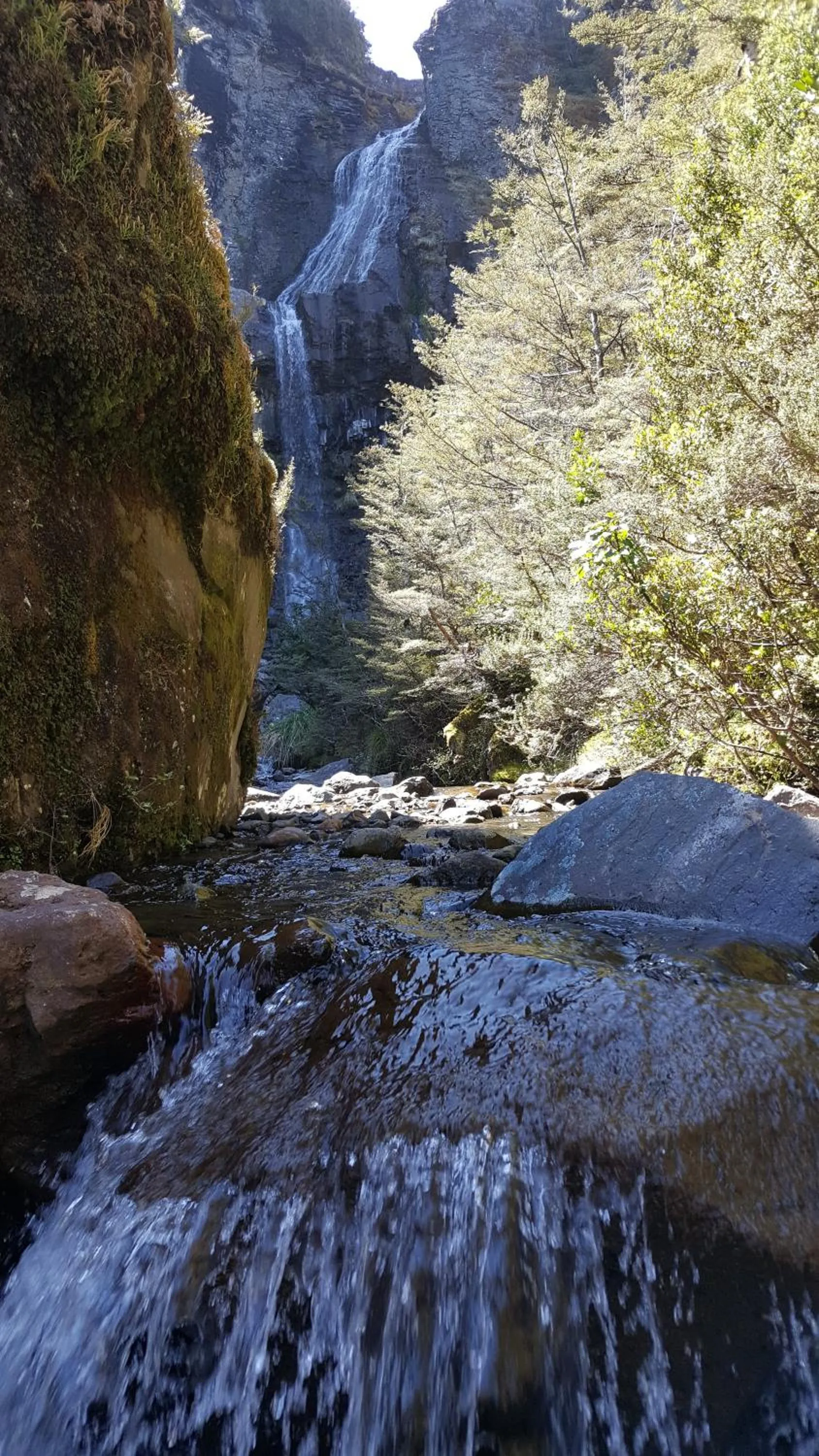 Ruapehu Mountain Motel & Lodge