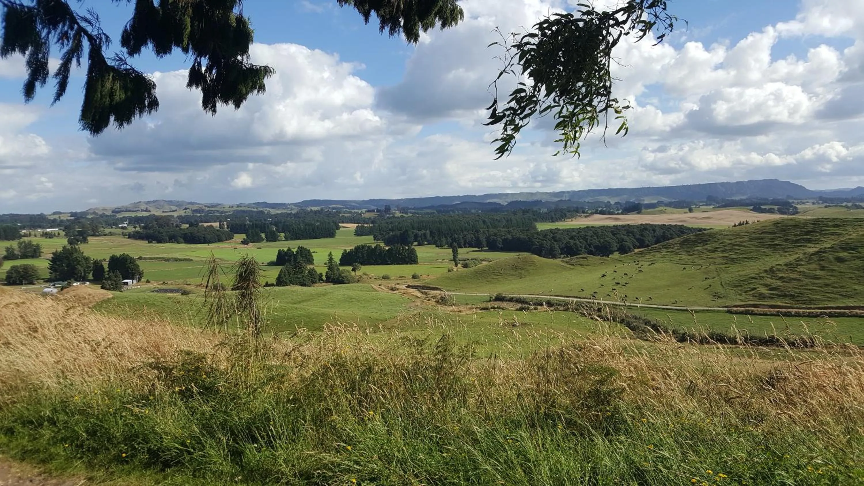 Ruapehu Mountain Motel & Lodge