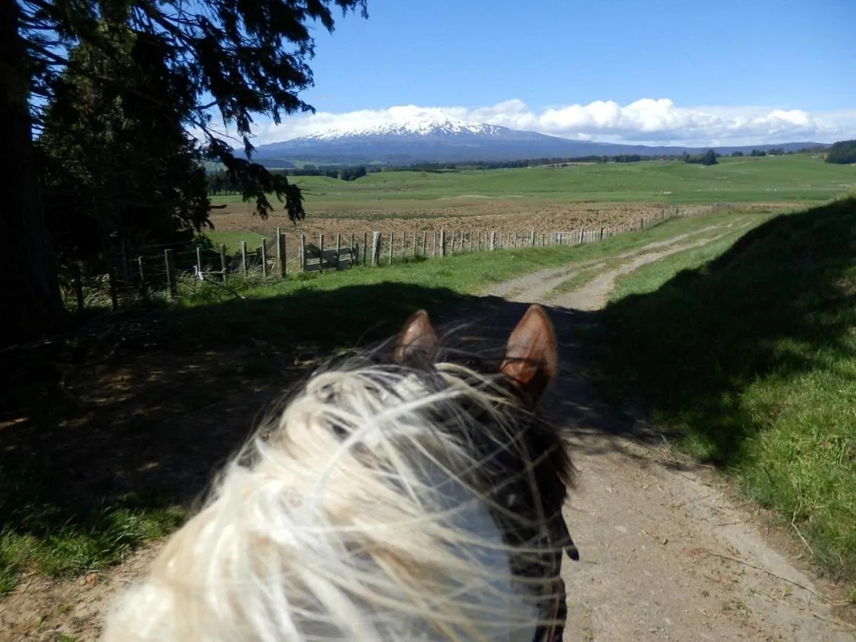 Horse-riding in Ruapehu Mountain Motel & Lodge