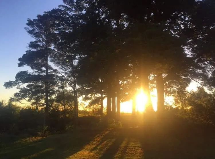 Ruapehu Mountain Motel & Lodge