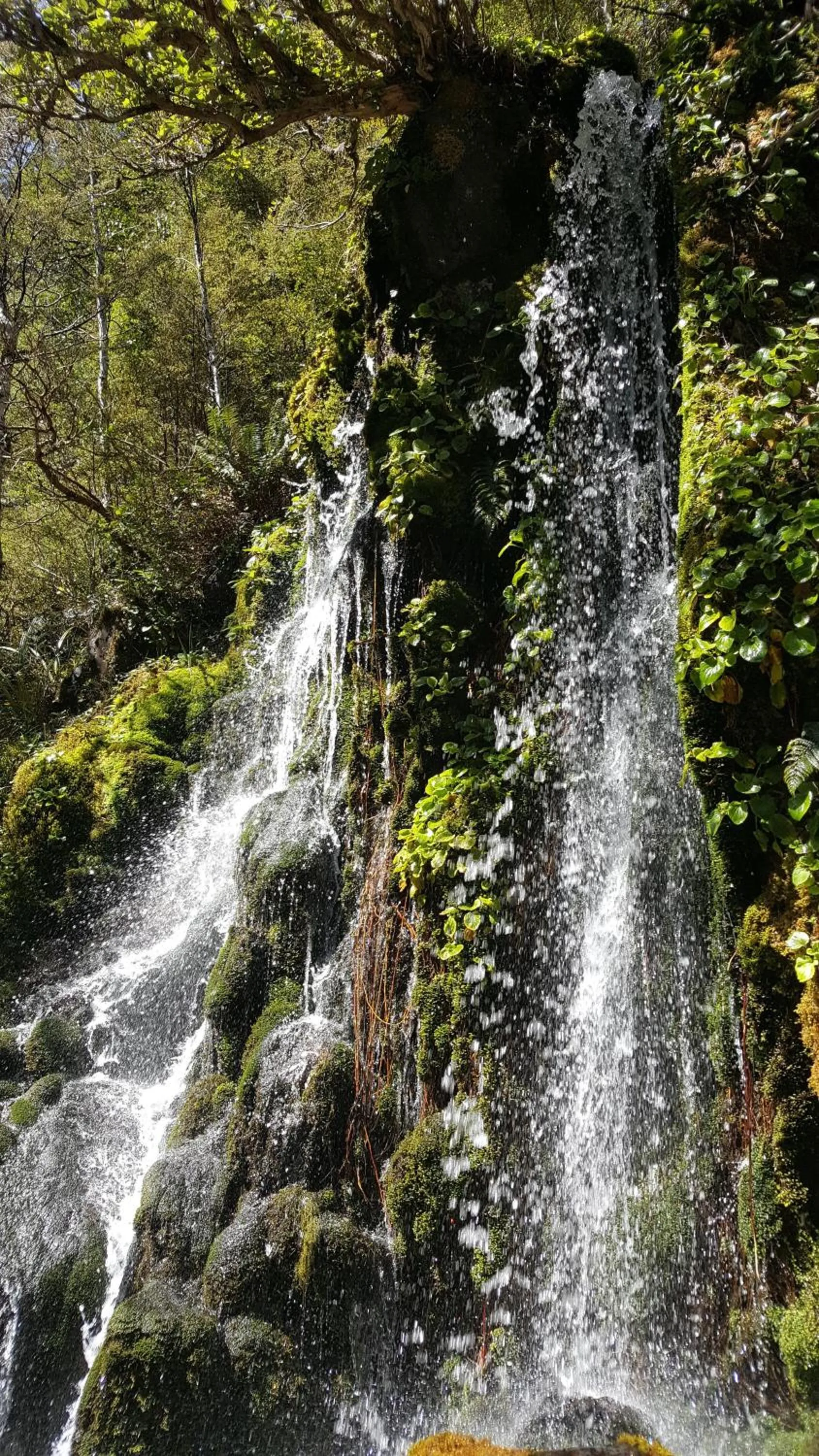 Ruapehu Mountain Motel & Lodge