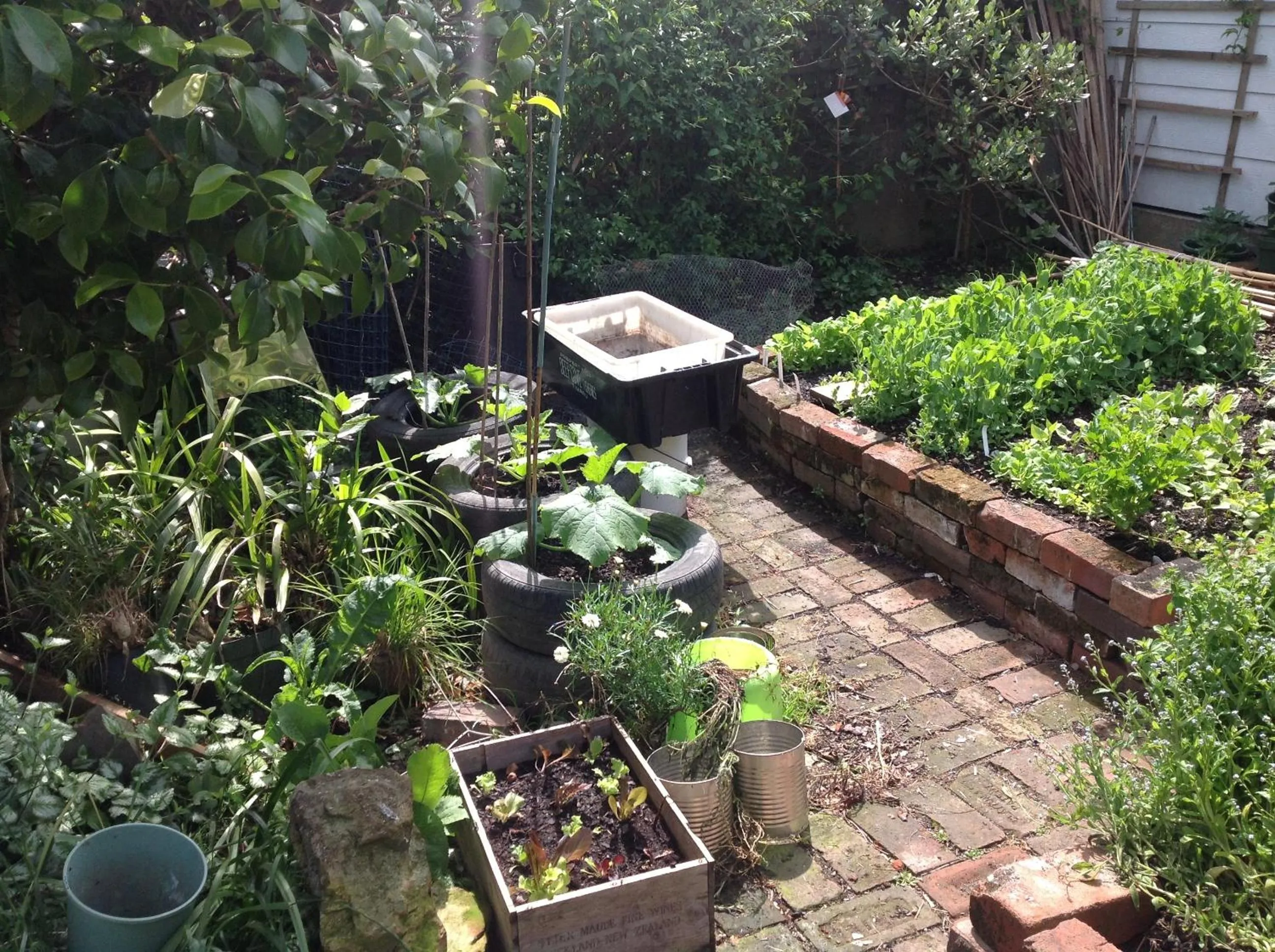 Garden in Kippilaw House