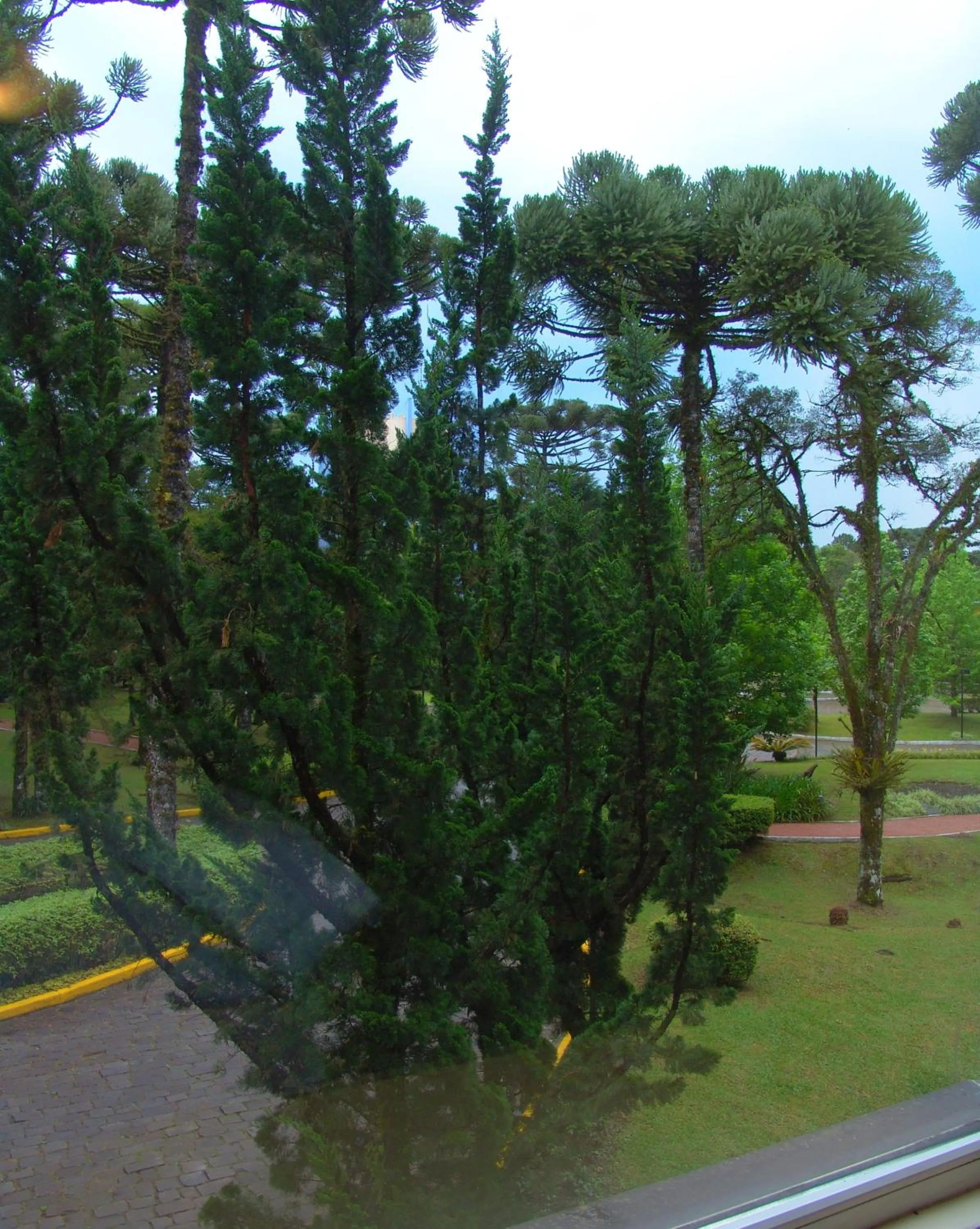 View (from property/room) in Flat Mountain Village Luxo e Conforto na Serra