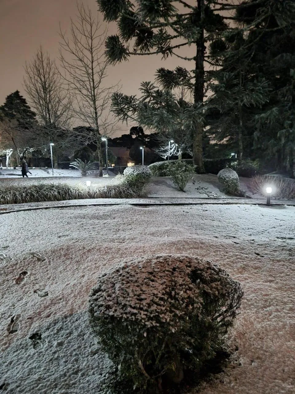 Flat Mountain Village Luxo e Conforto na Serra