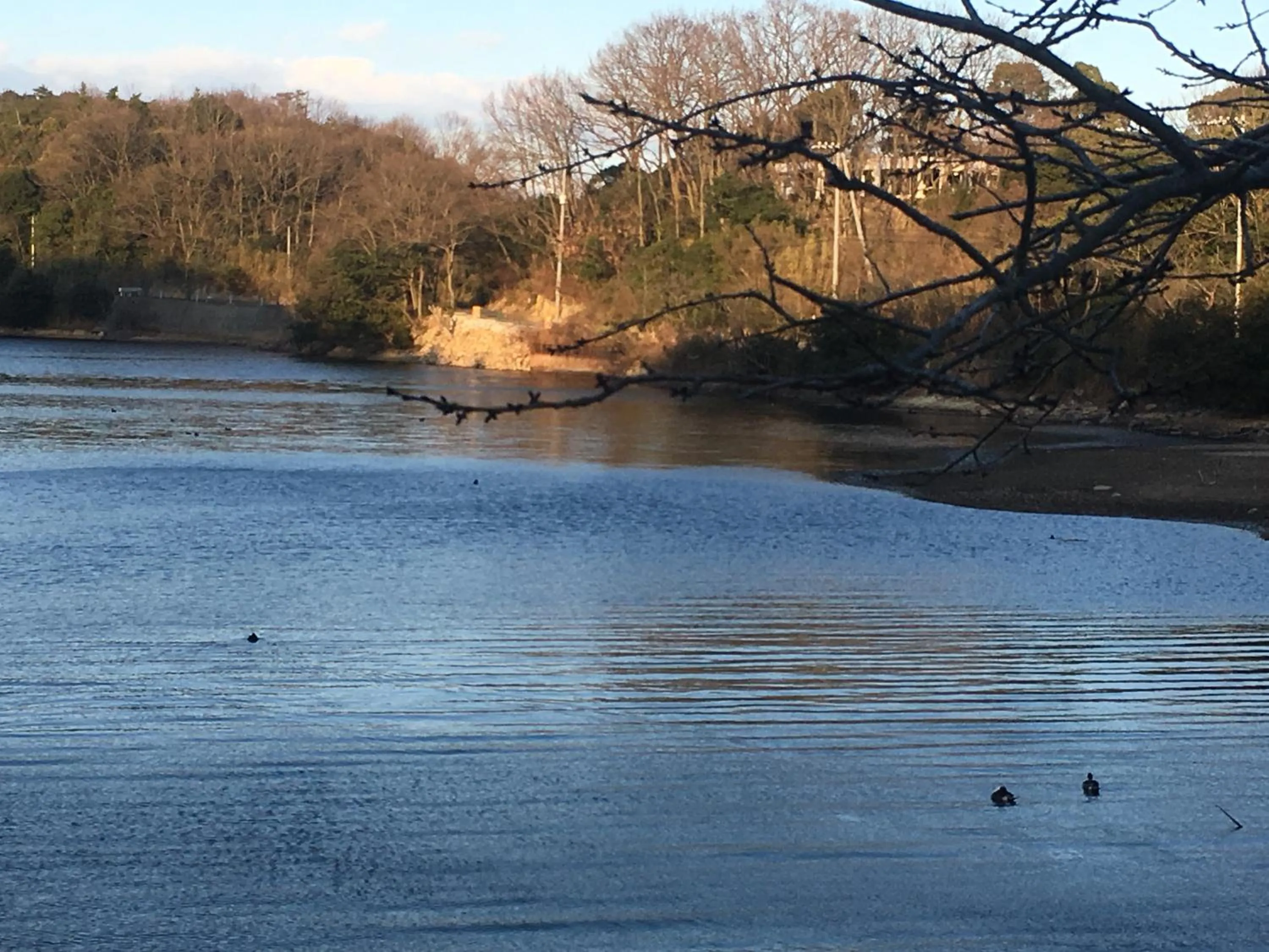 Naoshima Backpackers Guesthouse