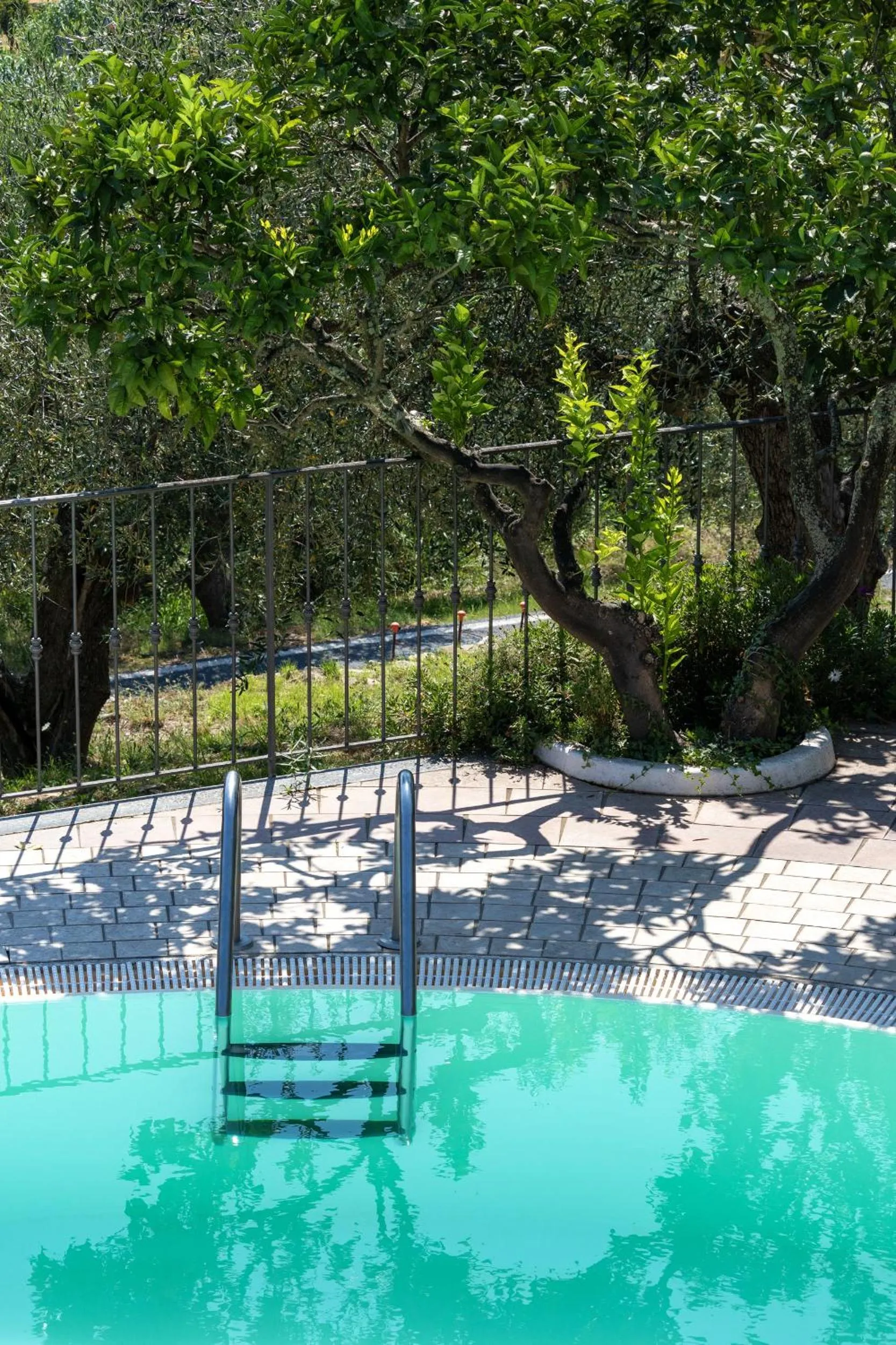 Natural landscape in Albergo Ristorante San Matteo