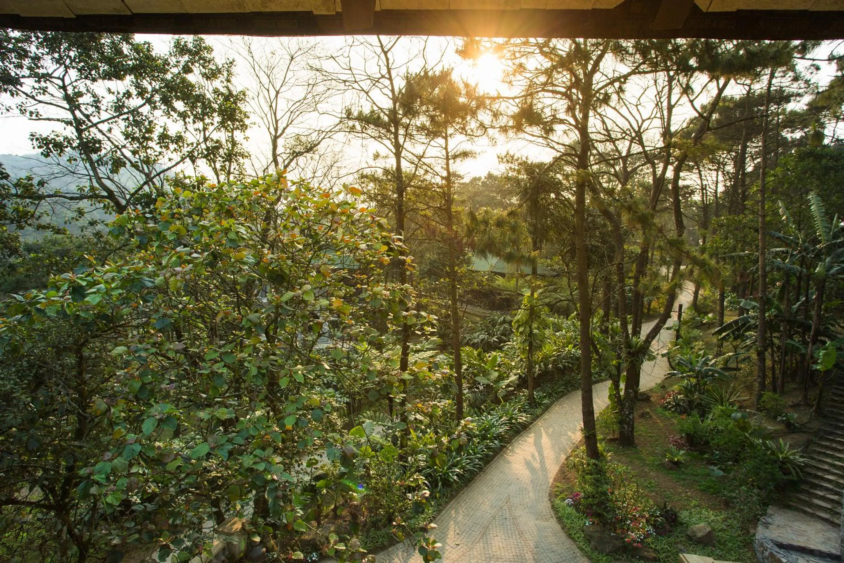 Garden view in Melia Ba Vi Mountain Retreat