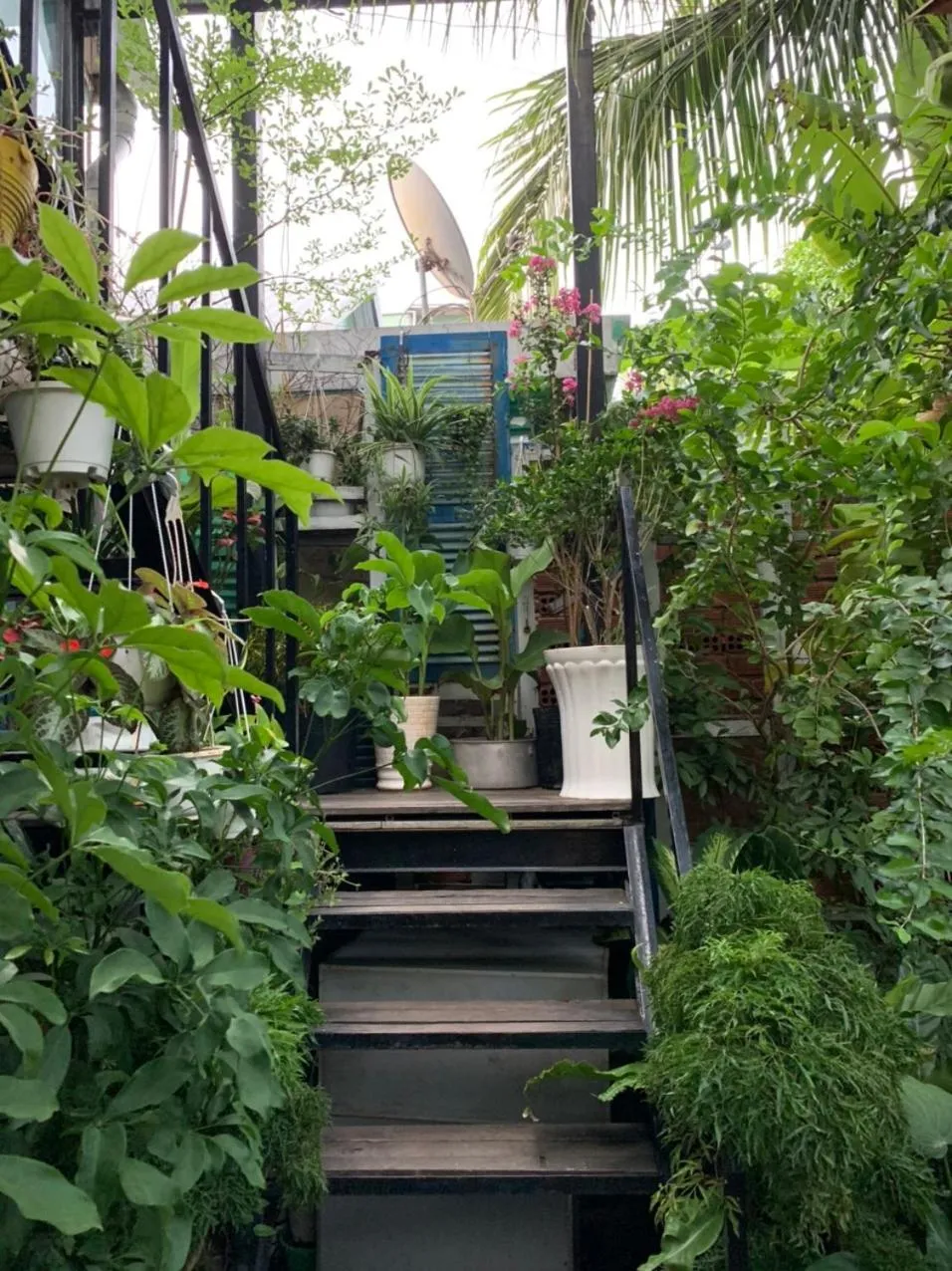 Facade/entrance in Uyen's House