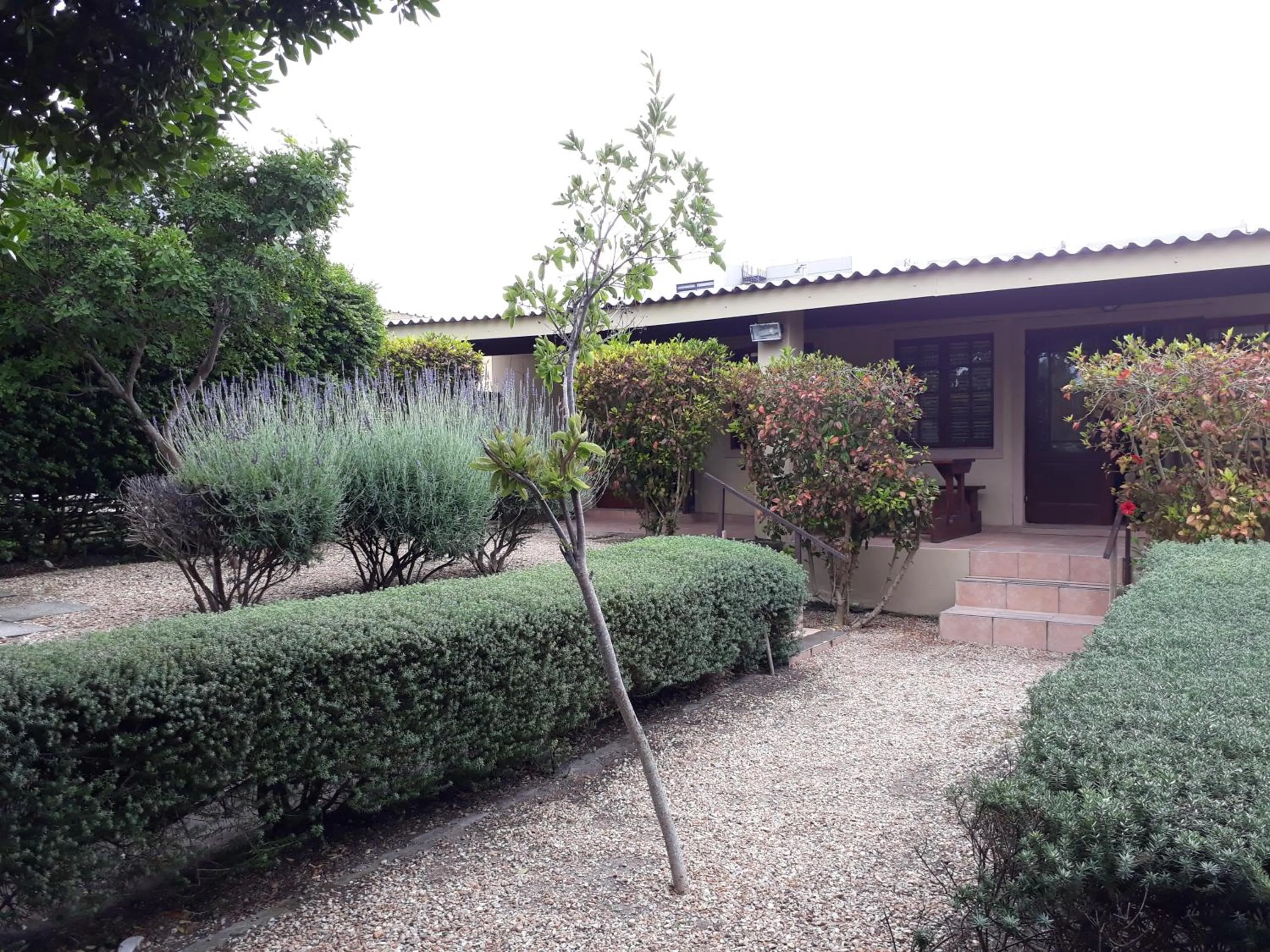 Garden in Tourist Lodge Gansbaai
