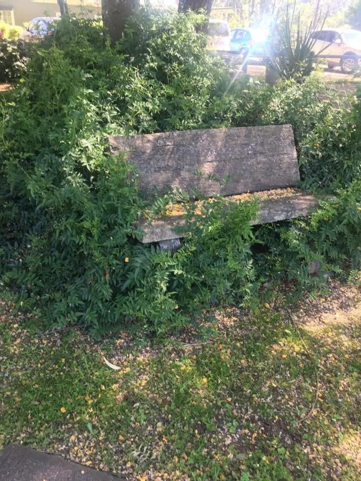 Garden in The Nest Drakensberg Mountain Resort Hotel