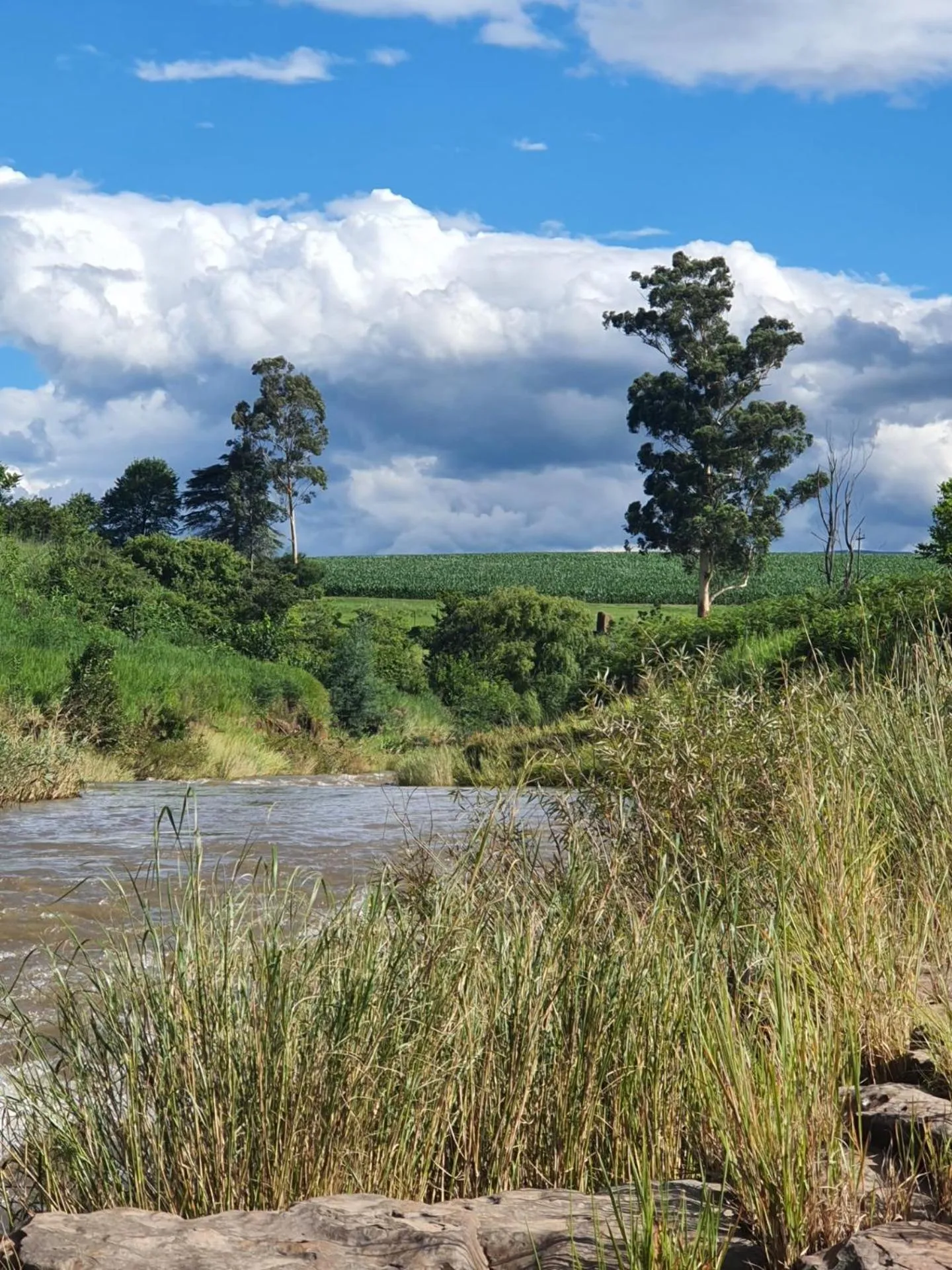 View (from property/room) in The Nest Drakensberg Mountain Resort Hotel