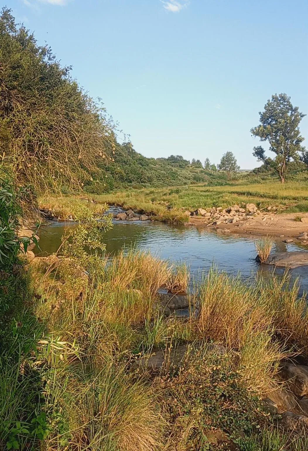 The Nest Drakensberg Mountain Resort Hotel